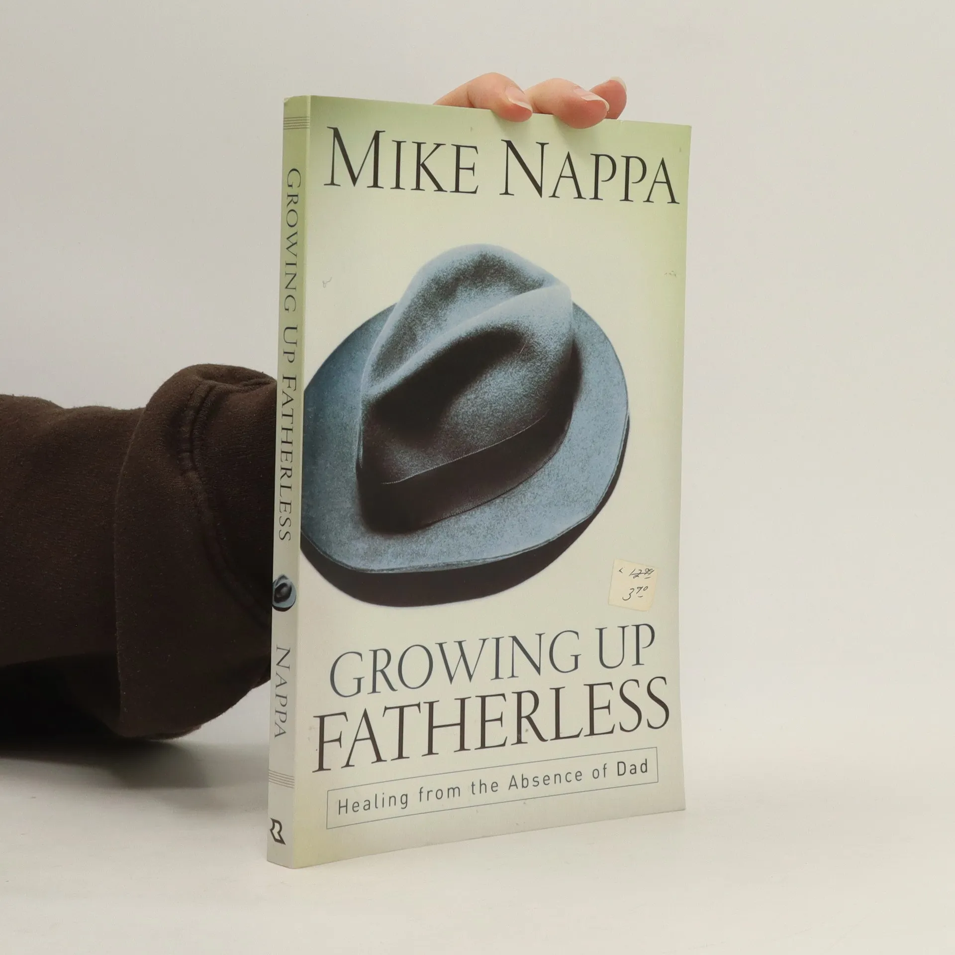 growing up fatherless essays