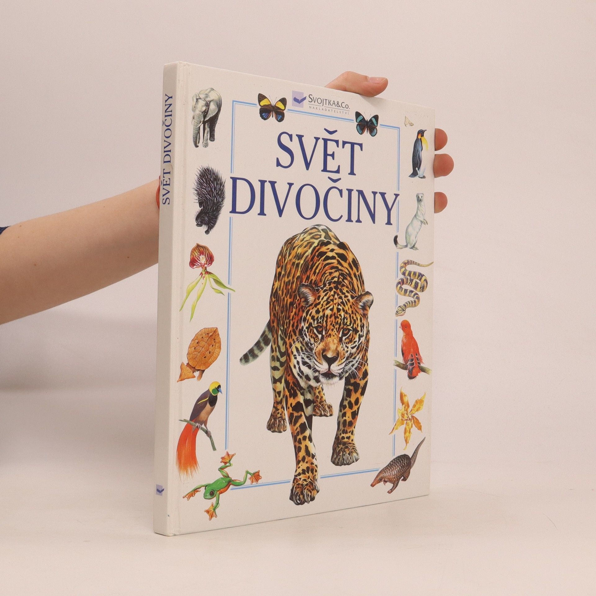 Andrew Dixon Svět divočiny