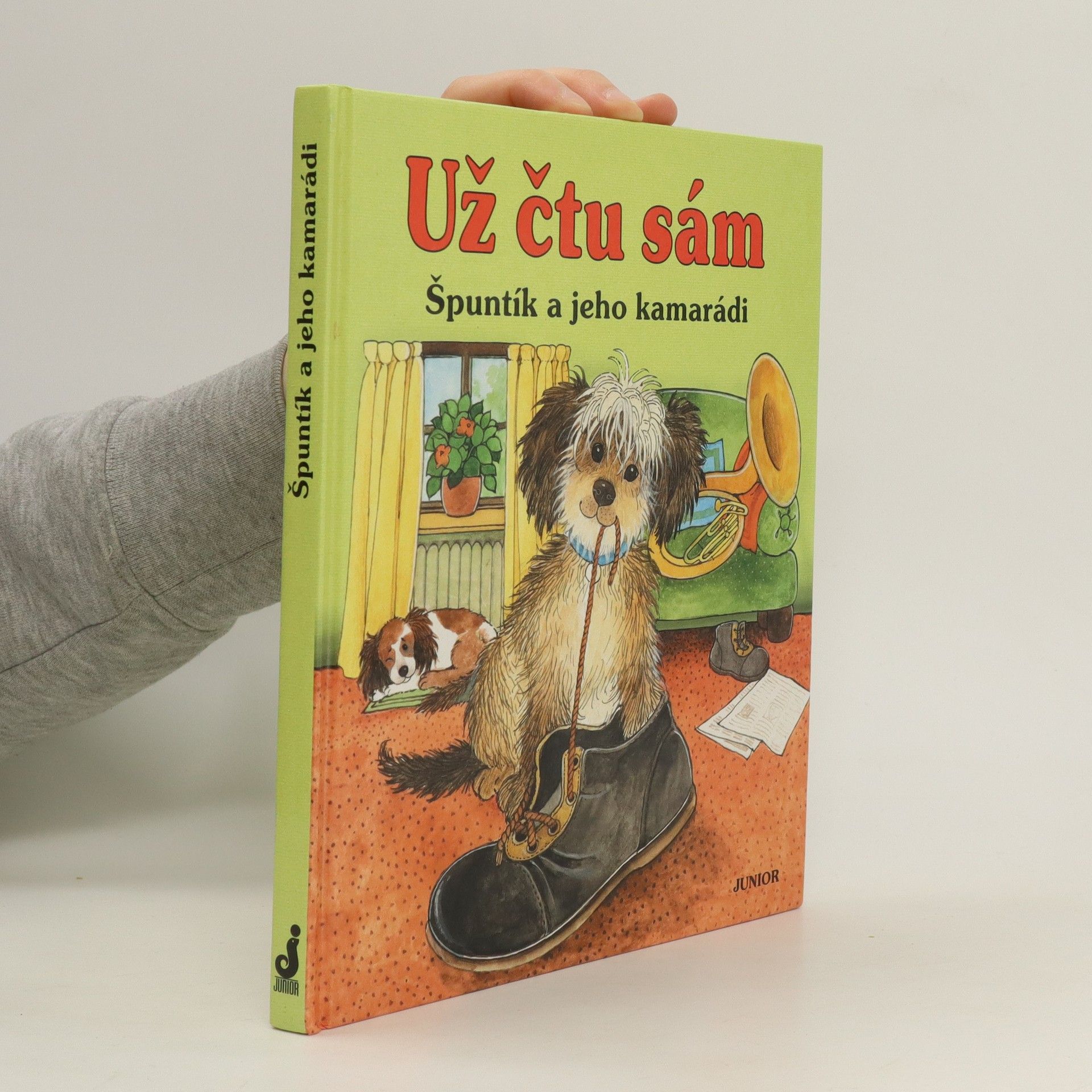 Dagmar Steidlová Špuntík a jeho kamarádi