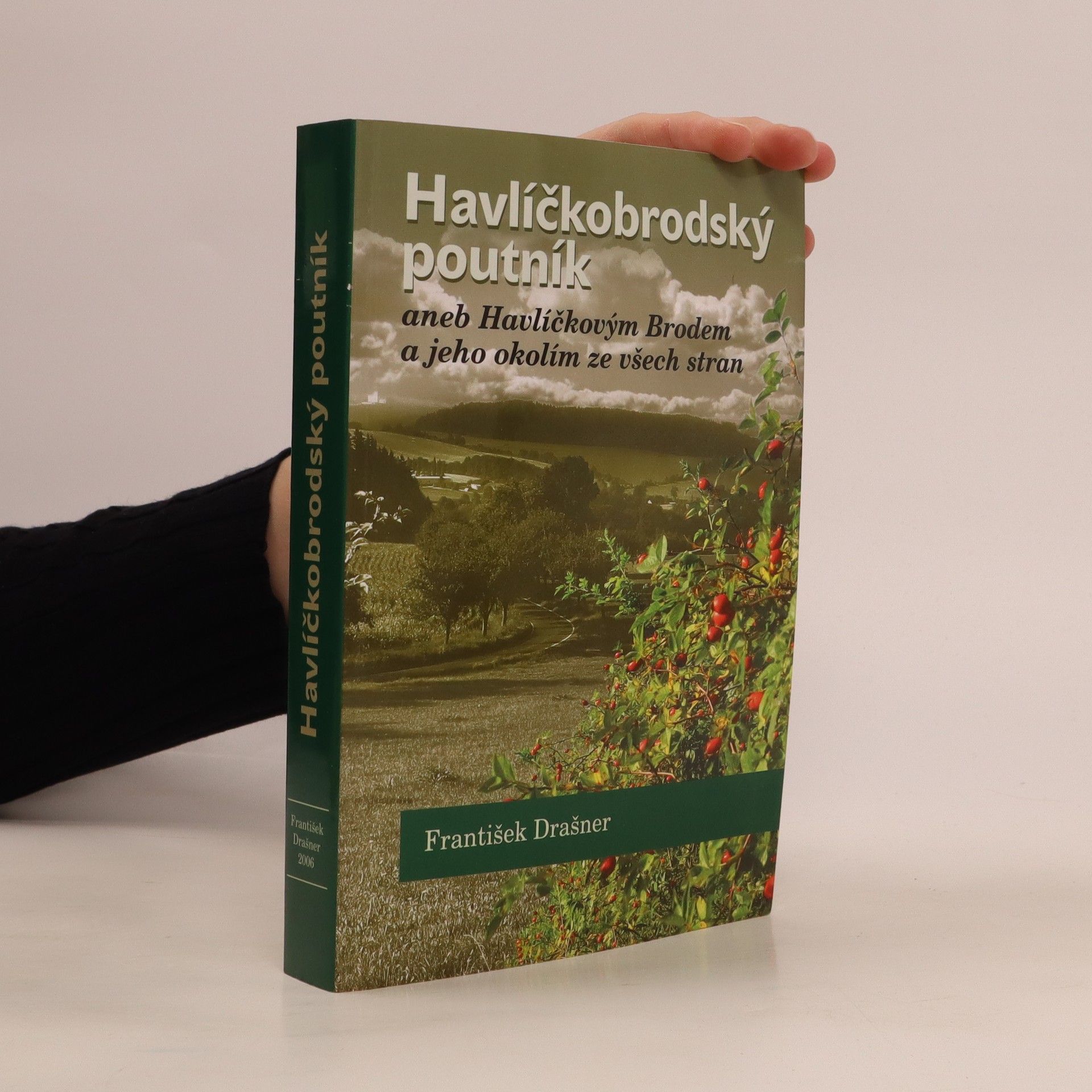 František Drašner Havlíčkobrodský poutník, aneb, Havlíčkovým Brodem a jeho okolím ze všech stran