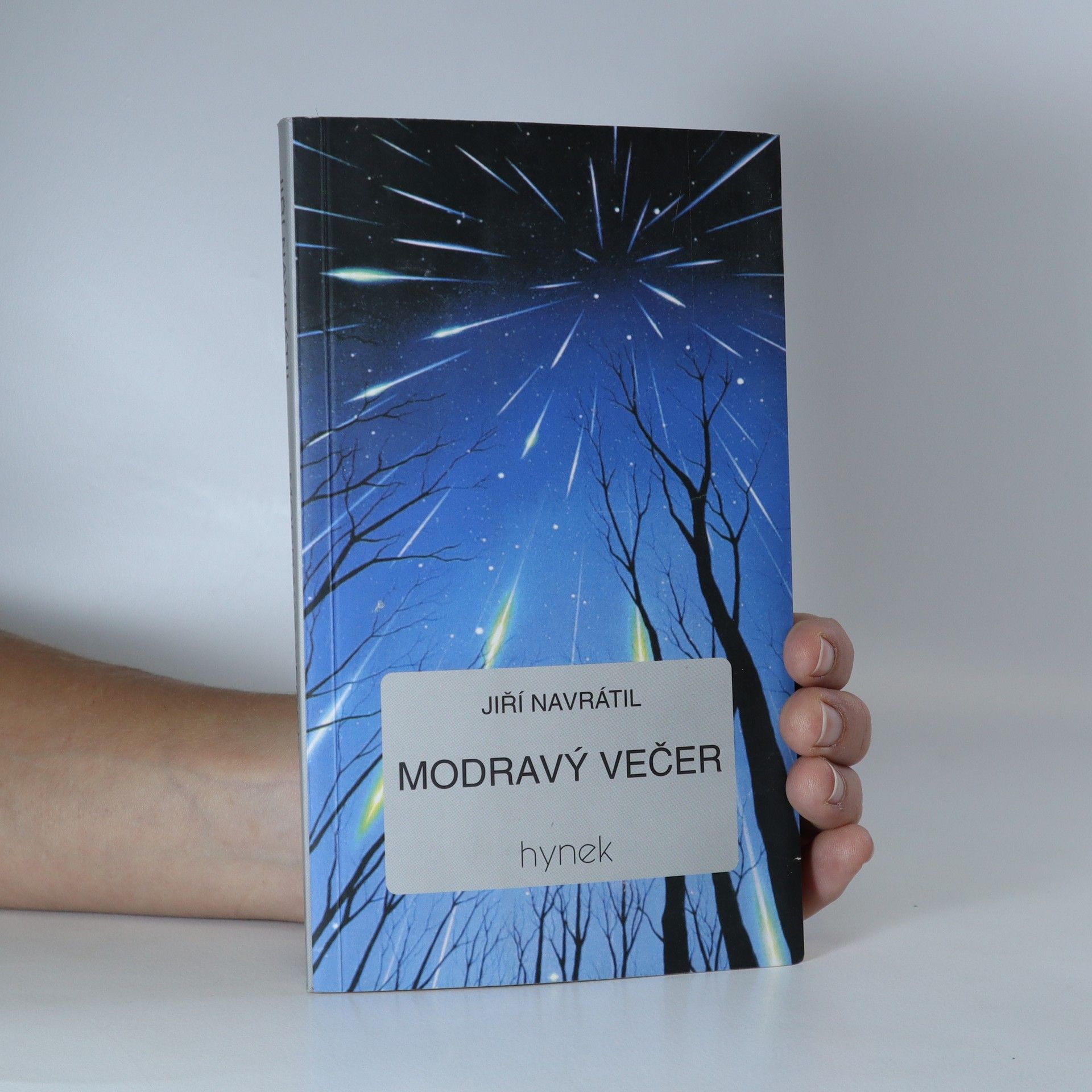 Jiří Navrátil Modravý večer