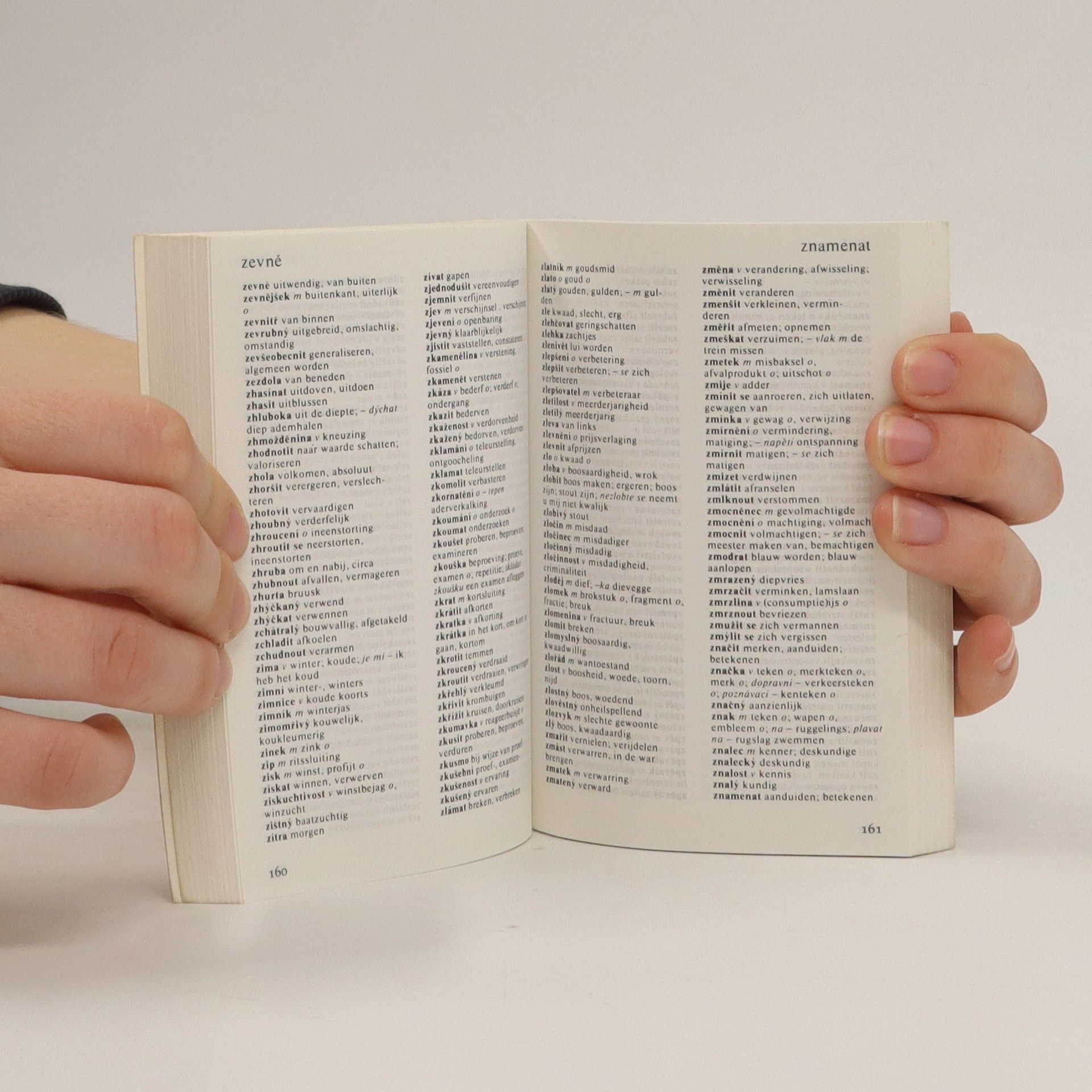 Autorenkollektiv Tsjechisch Woordenboek se stručným přehledem nizozemské gramatiky