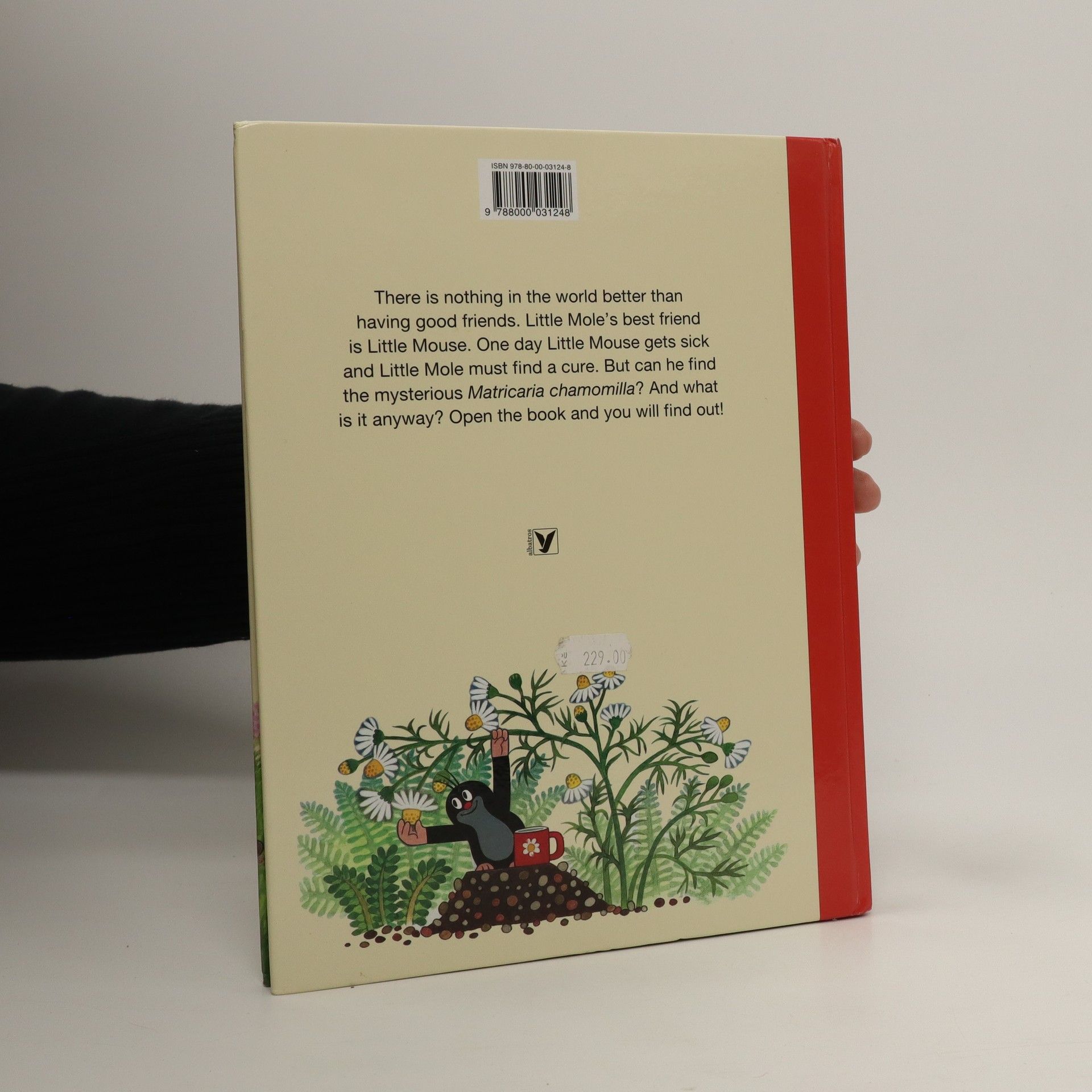 Hana Doskočilová How Little Mole Cured Little Mouse