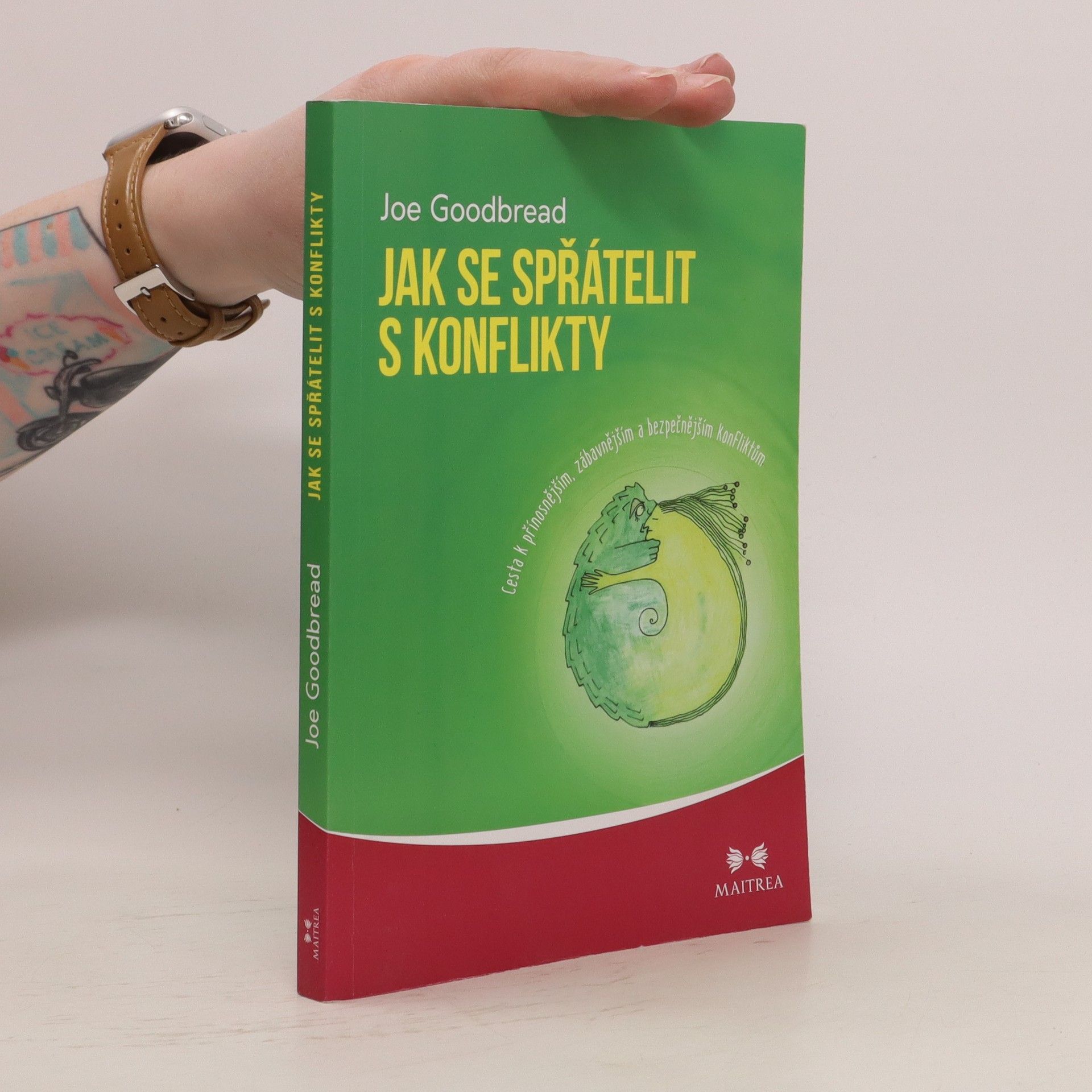 Joseph H. Goodbread Jak se spřátelit s konflikty : cesta k přínosnějším, zábavnějším a bezpečnějším konfliktům