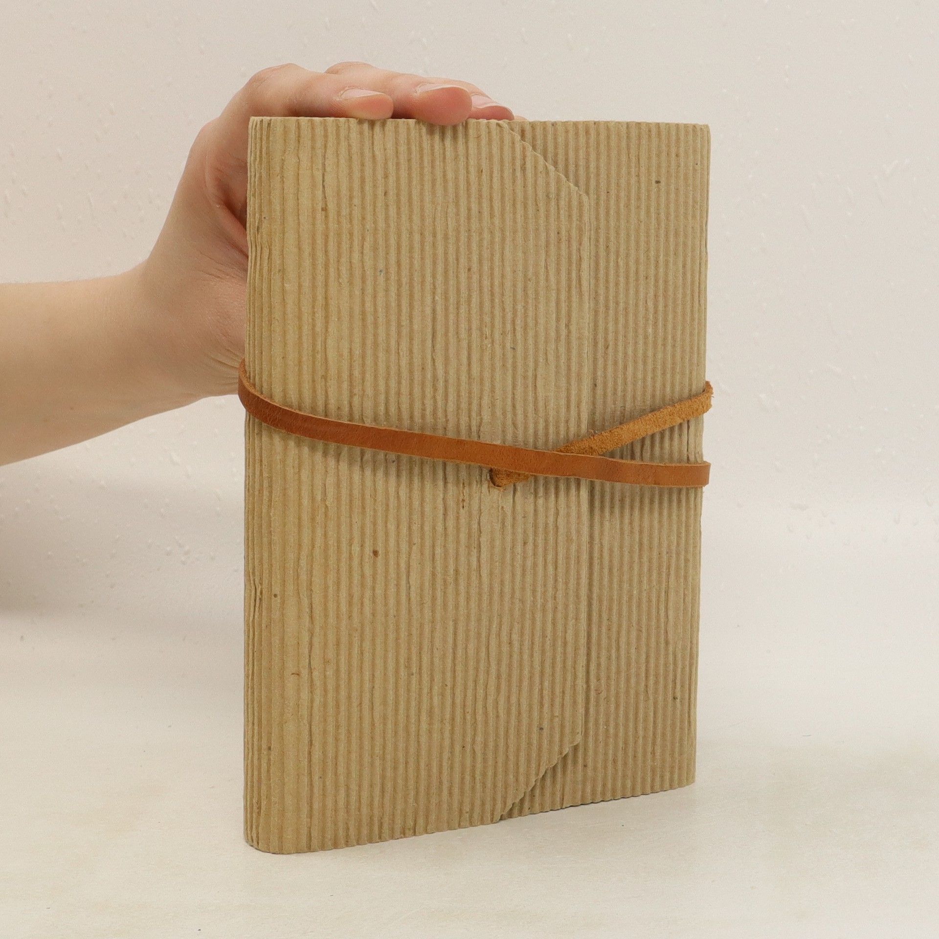 Collectif d'auteurs Рождественское Евангелие (Rozhdestvenskoye Yevangeliye)