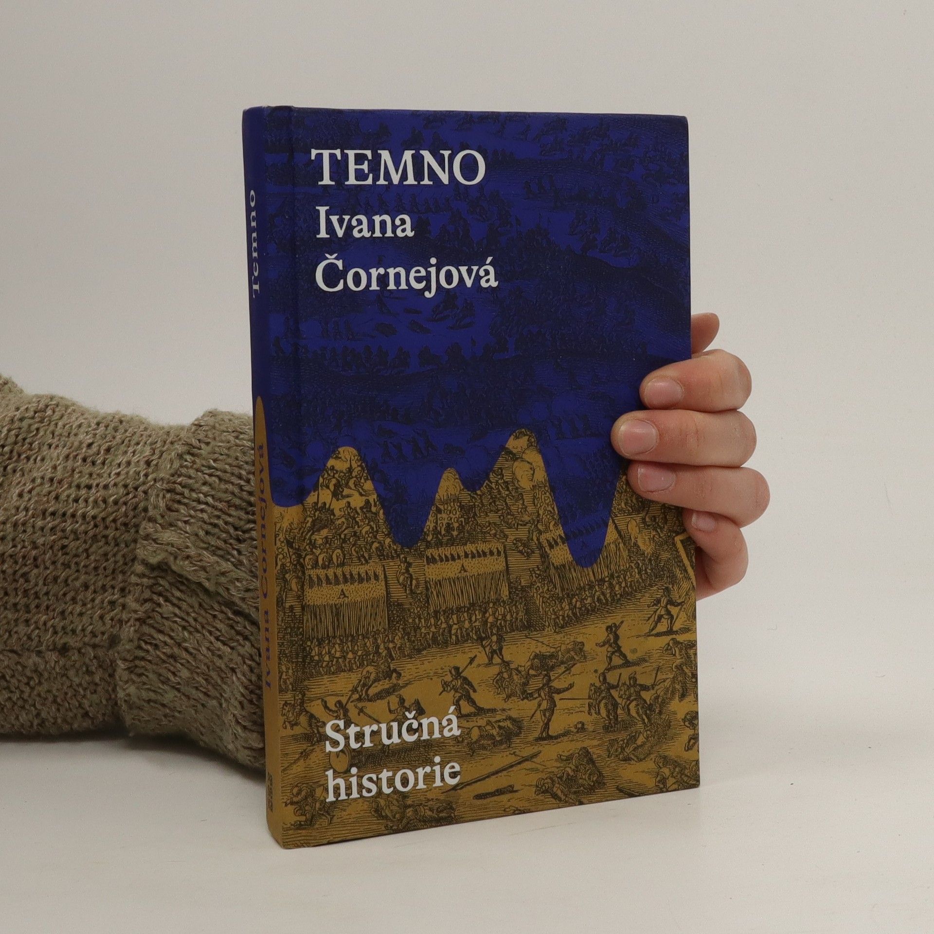 Ivana Čornejová Temno. Stručná historie