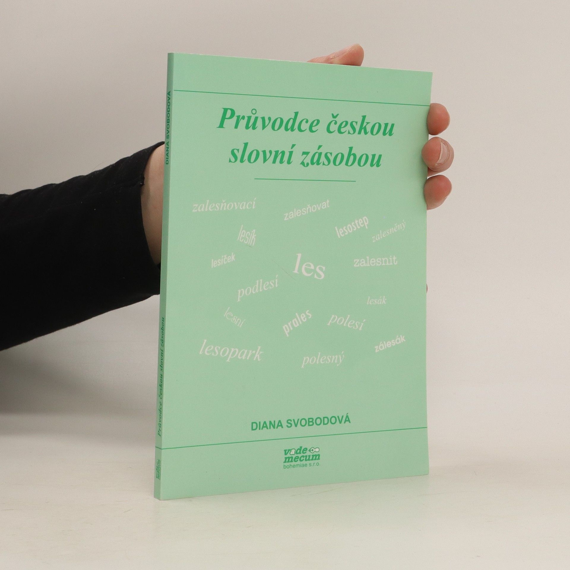 Průvodce českou slovní zásobou