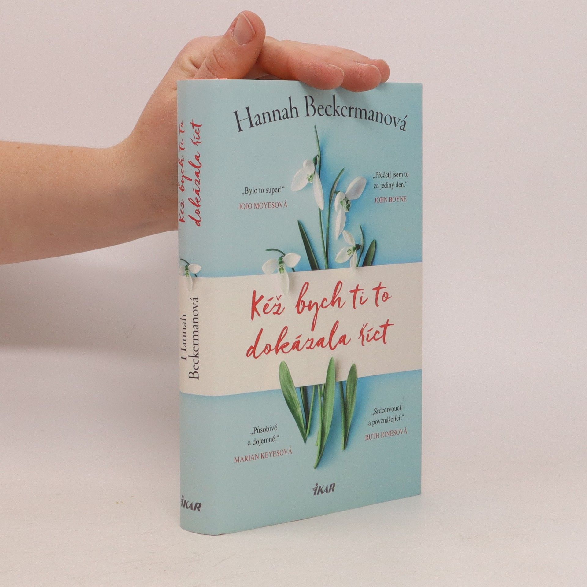 Hannah Beckerman Kéž bych ti to dokázala říct