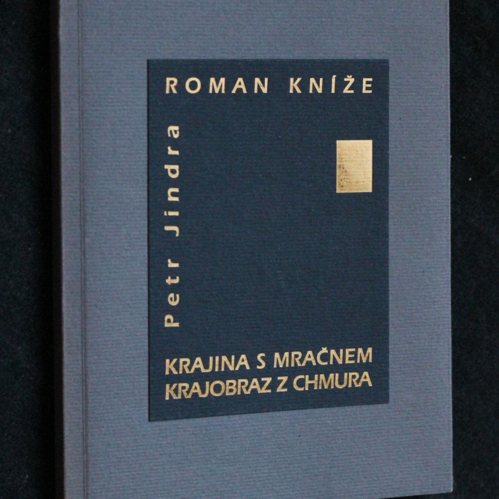 Roman Kníže Krajina s mračnem = Krajobraz z chmura