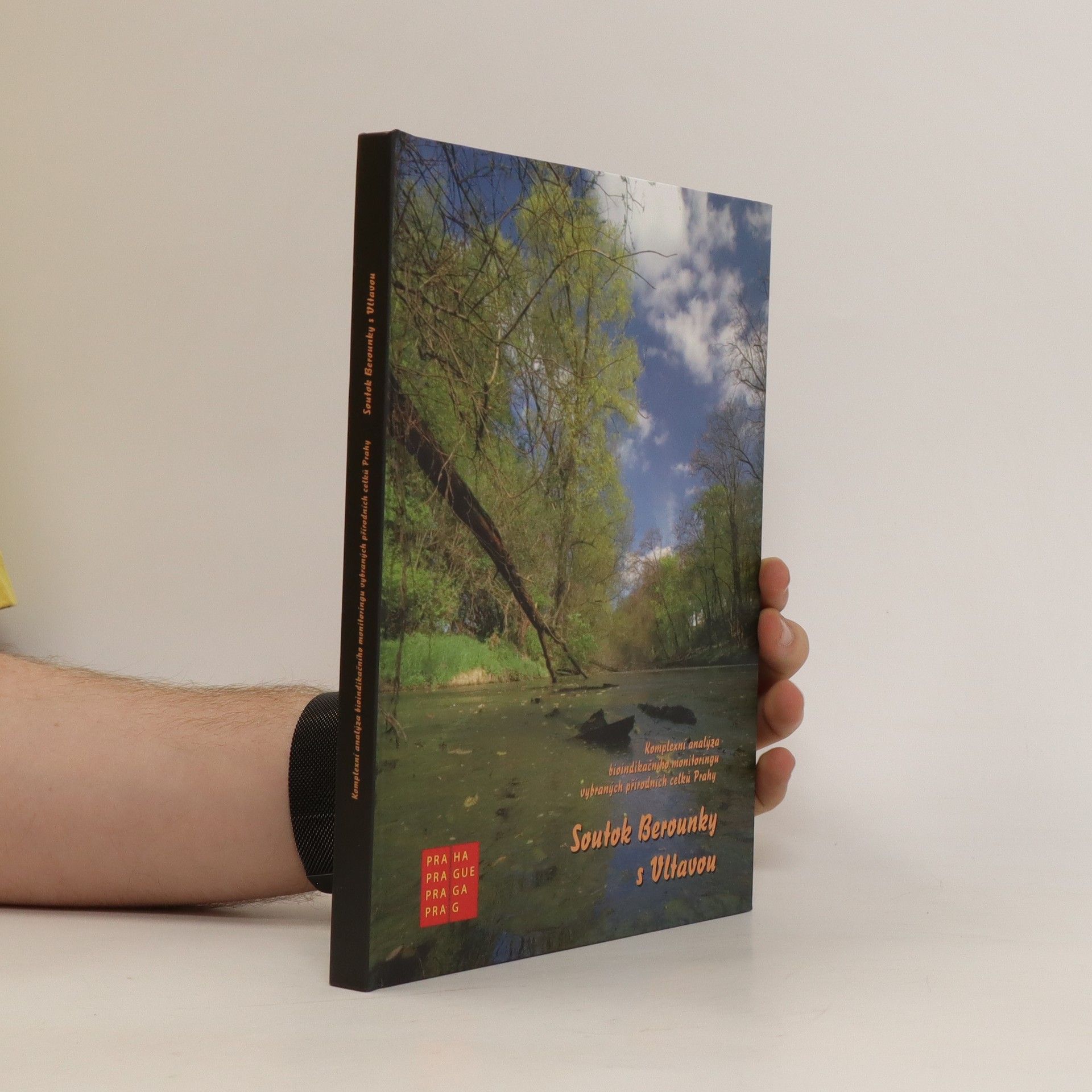 Collectif d'auteurs Soutok Berounky s Vltavou