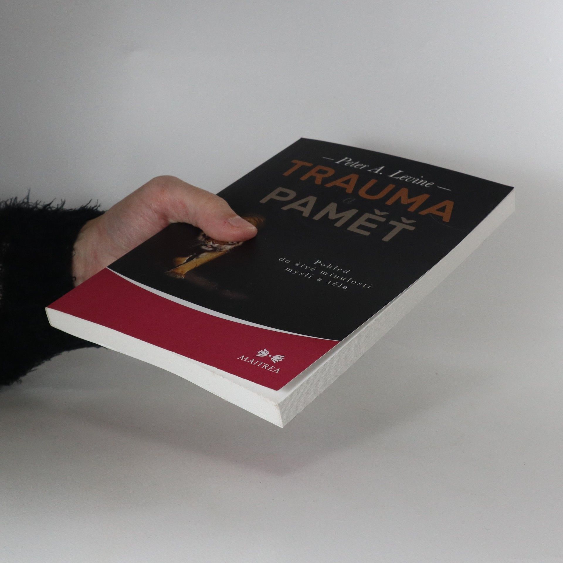 Peter A. Levine Trauma a paměť