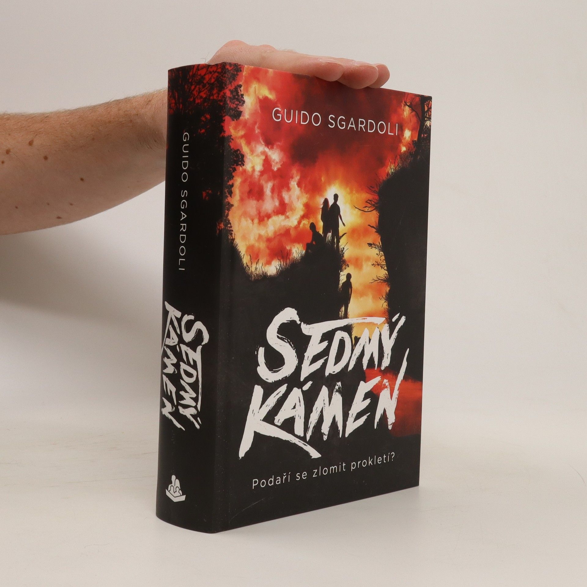 Guido Sgardoli Sedmý kámen