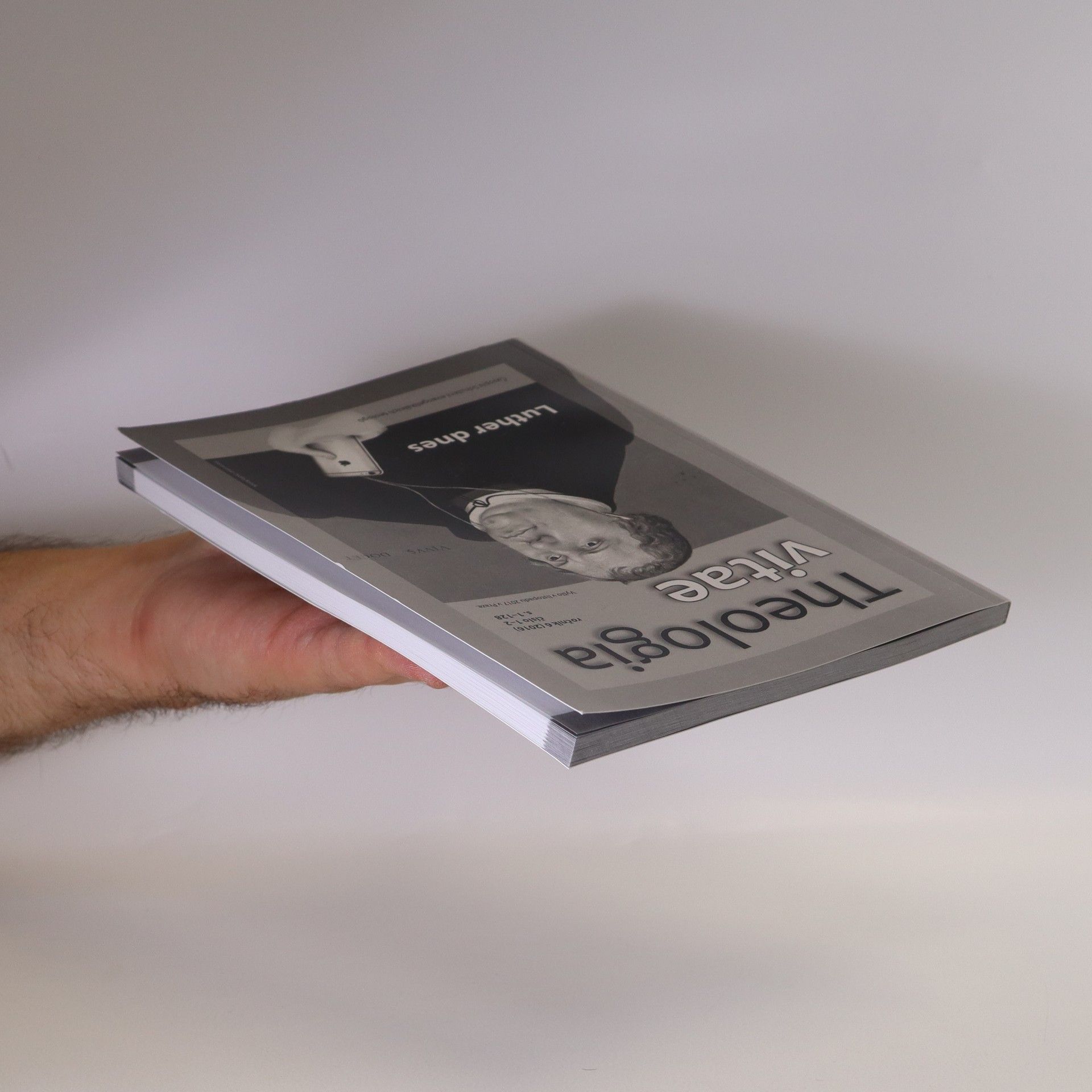 Autorenkollektiv Theologia vitae. Ročník 6 (2016). Číslo 1-2