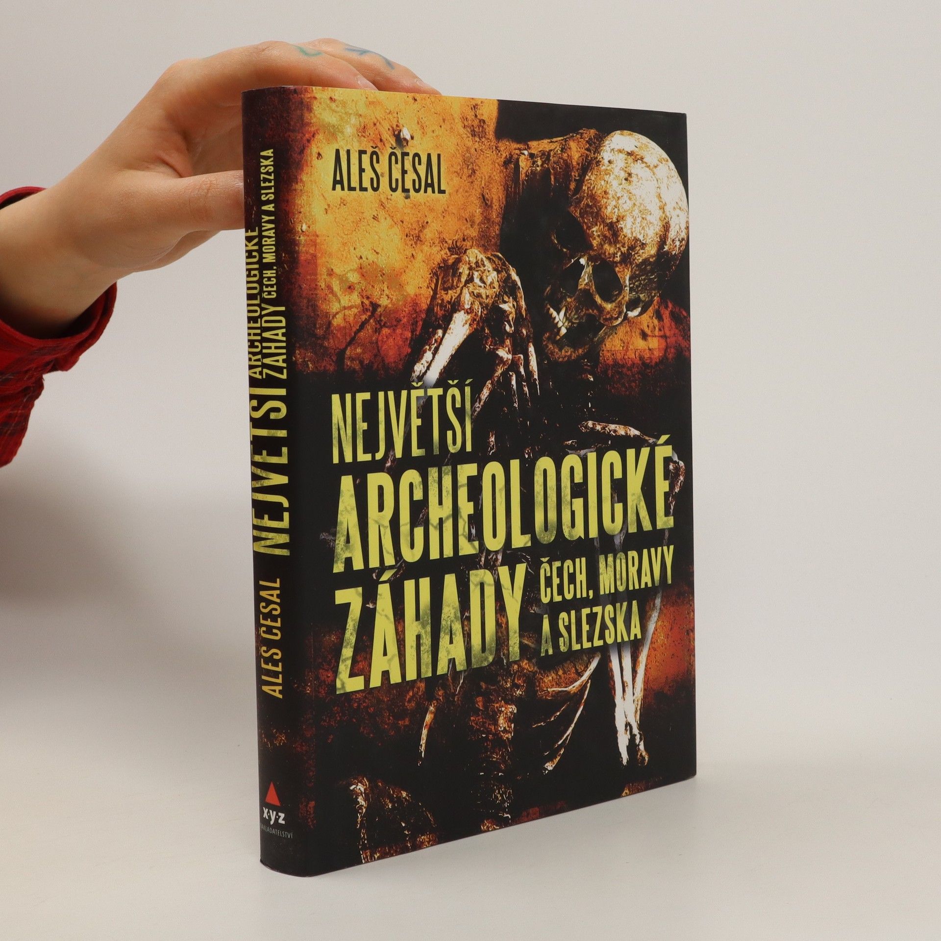 Aleš Česal Největší archeologické záhady Čech, Moravy a Slezska