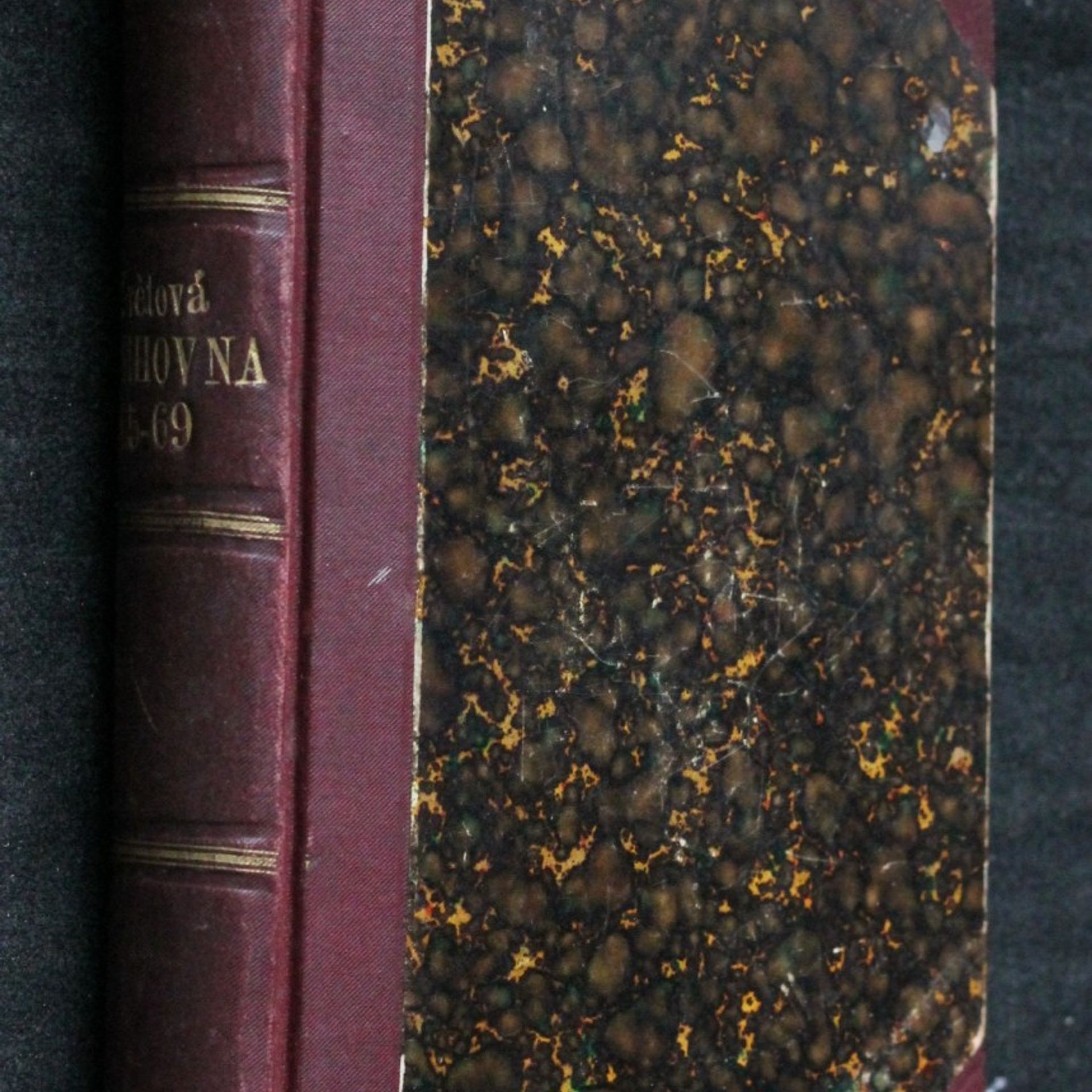 J. Arbesa Newtonův mozek