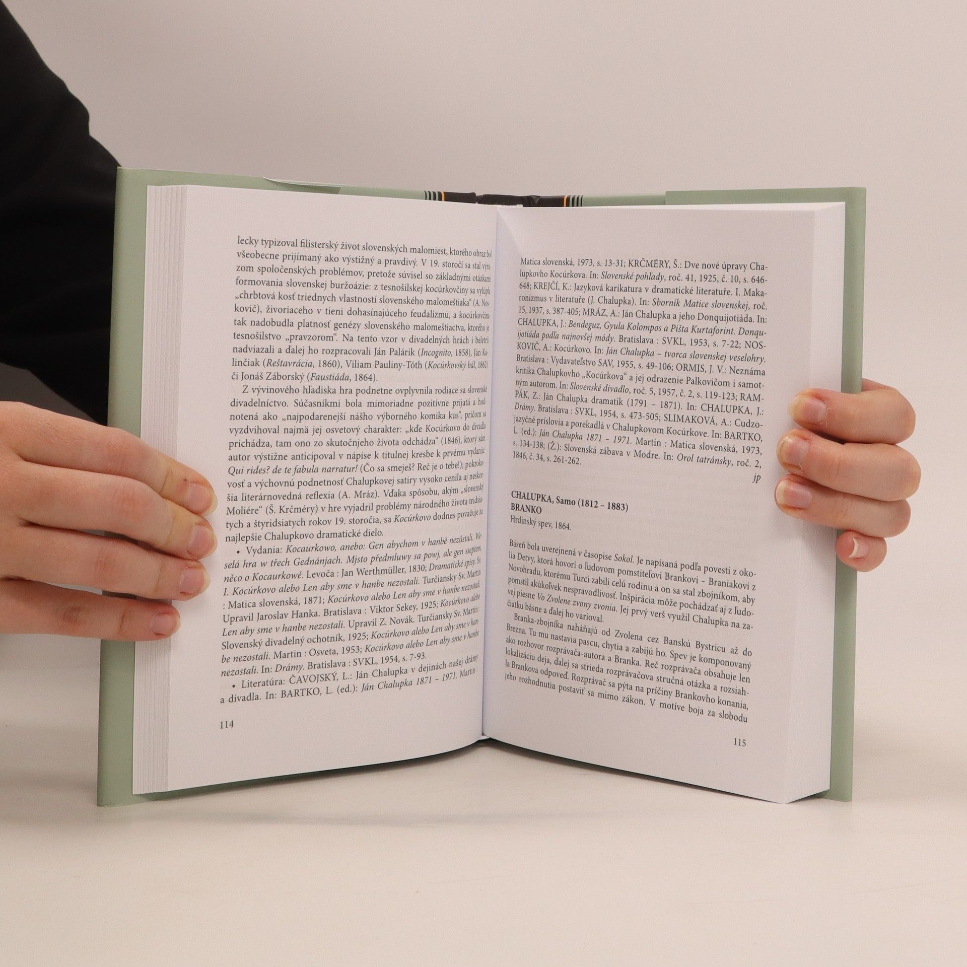 Rudolf Chmel Slovník diel slovenskej literatúry 19. storočia