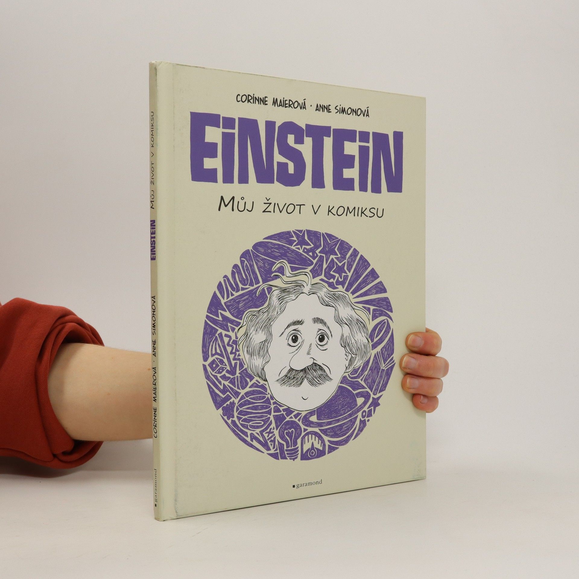 Corinne Maier Einstein. Můj život v komiksu.