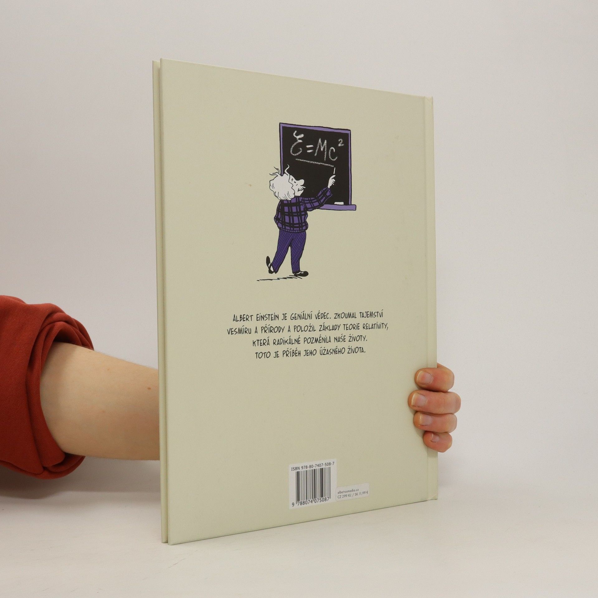 Corinne Maier Einstein. Můj život v komiksu.