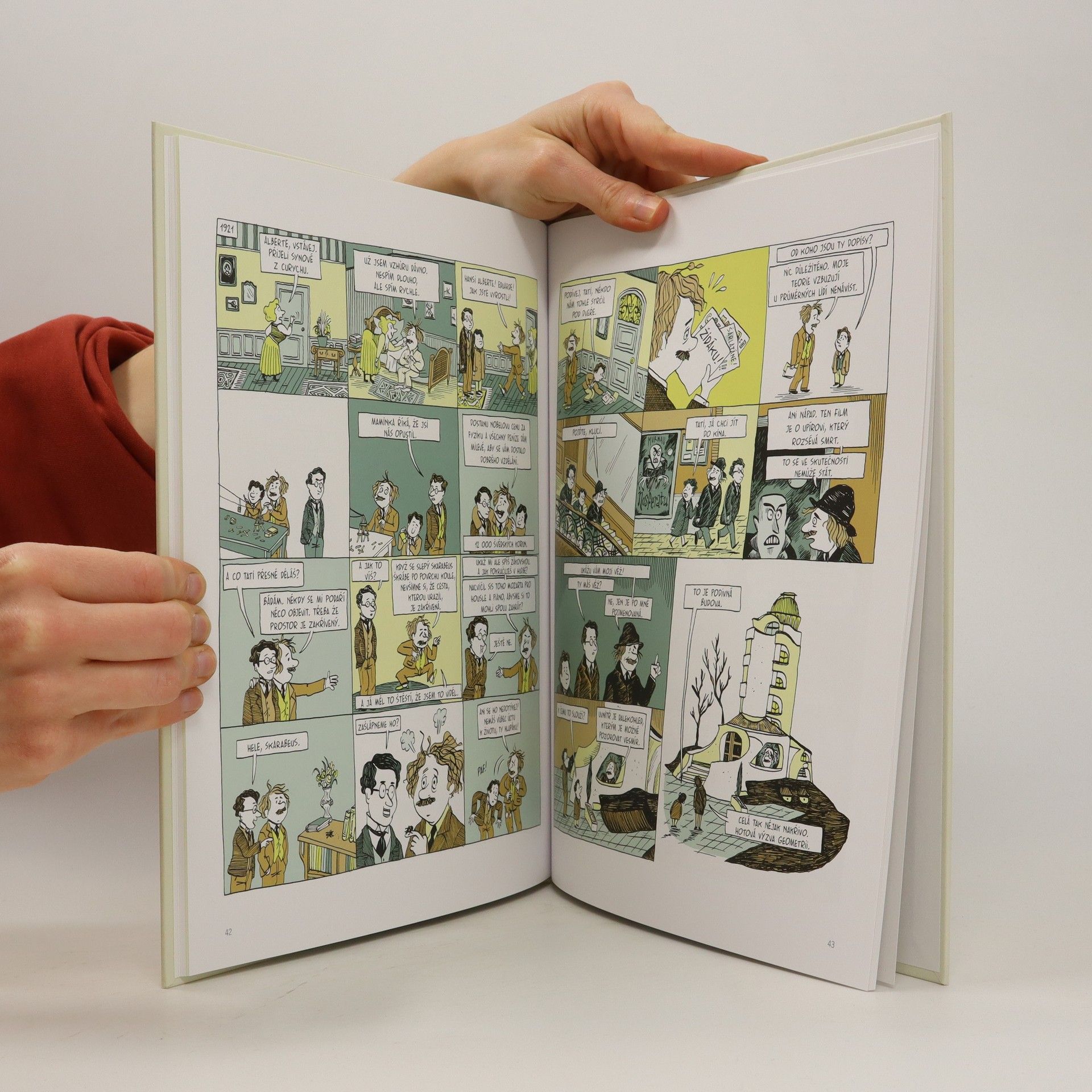 Corinne Maier Einstein. Můj život v komiksu.