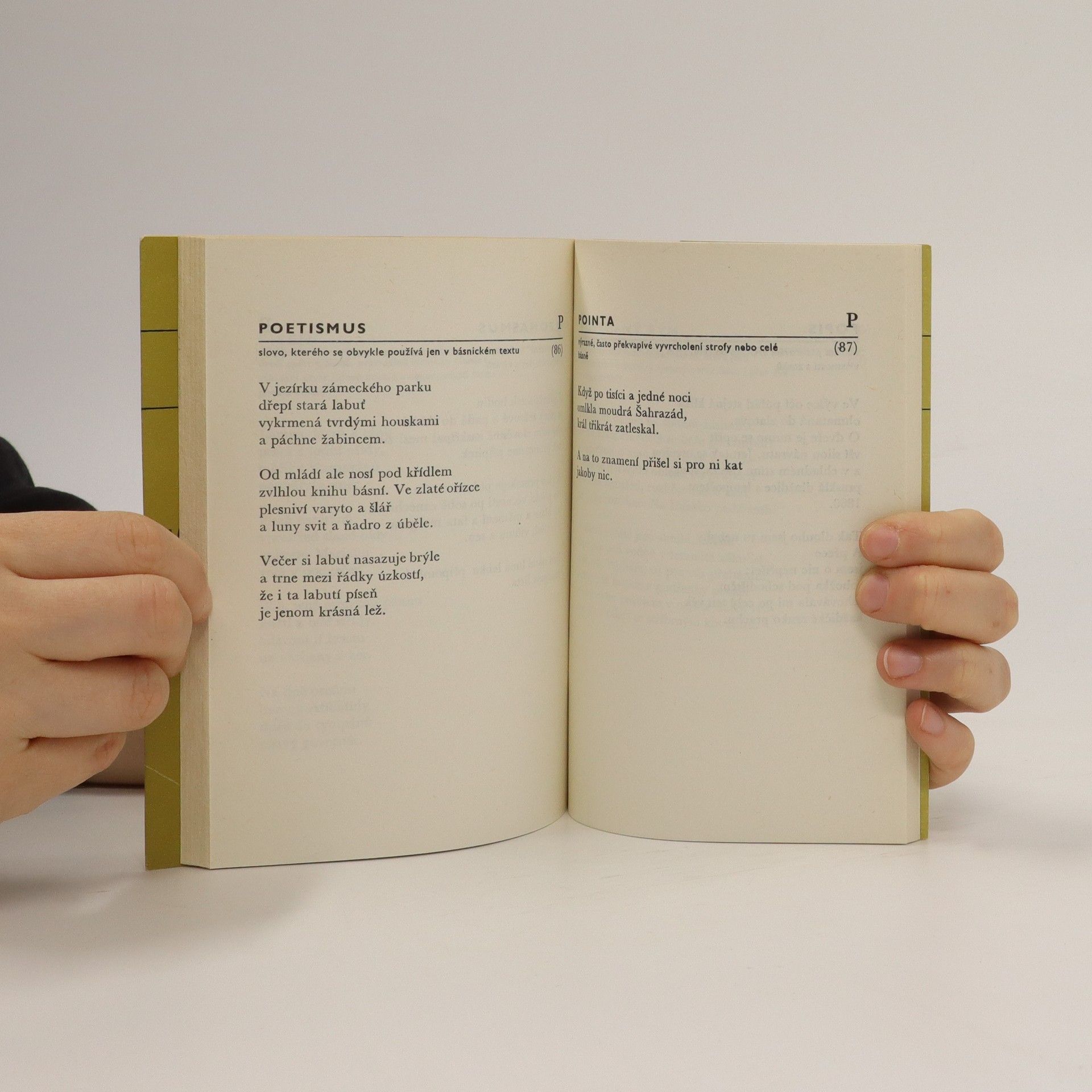 Přemysl Rut Menší poetický slovník v příkladech