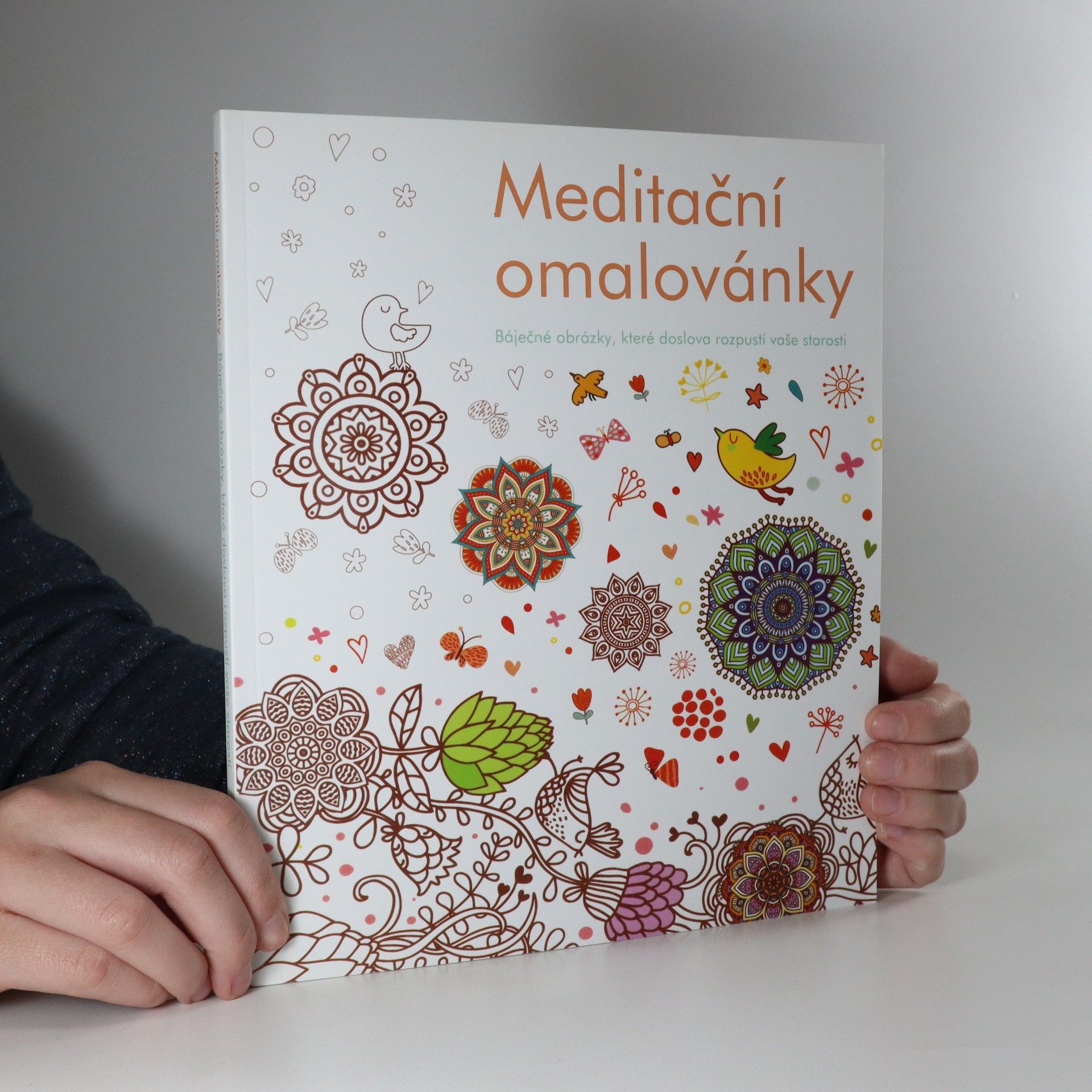Autorenkollektiv Meditační omalovánky (nevybarvené)