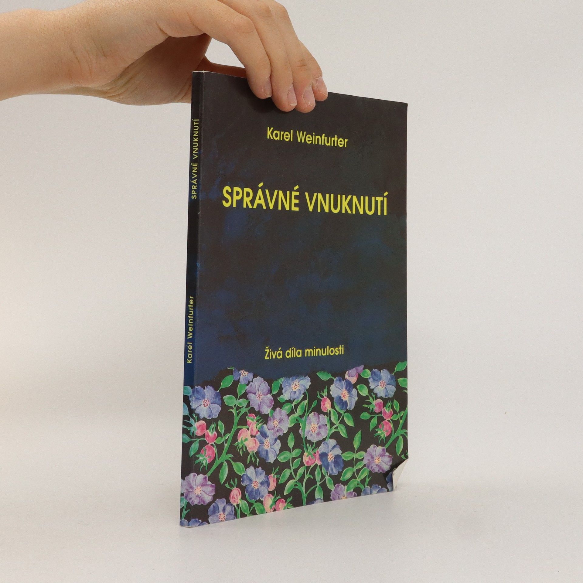 Karel Weinfurter Správné vnuknutí
