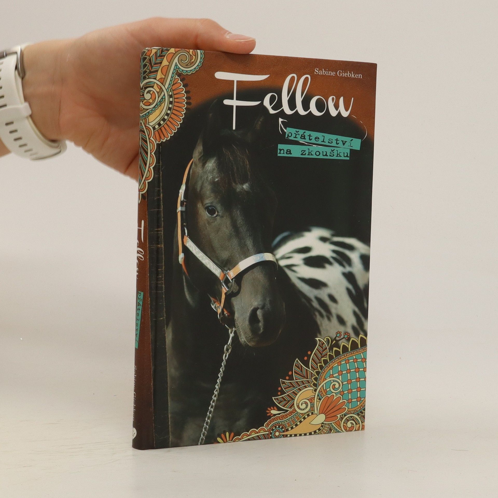 Sabine Giebken Fellow: Přátelství na zkoušku