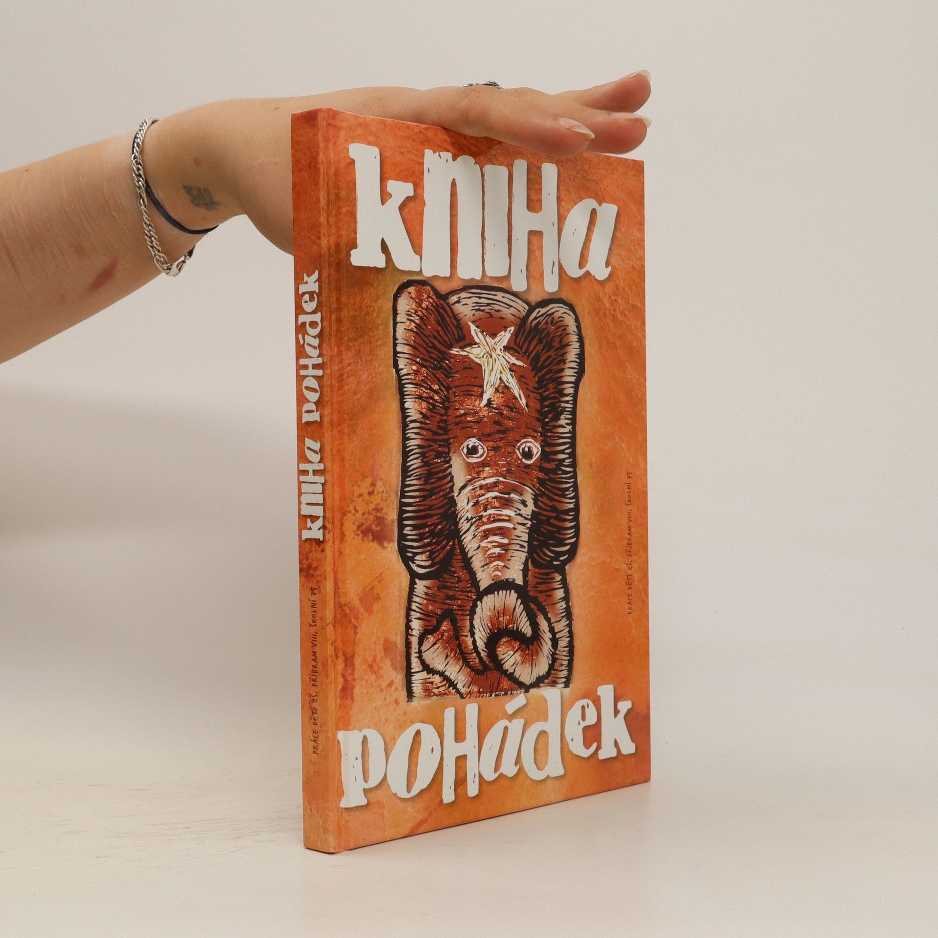 Kolektiv autorů Kniha pohádek