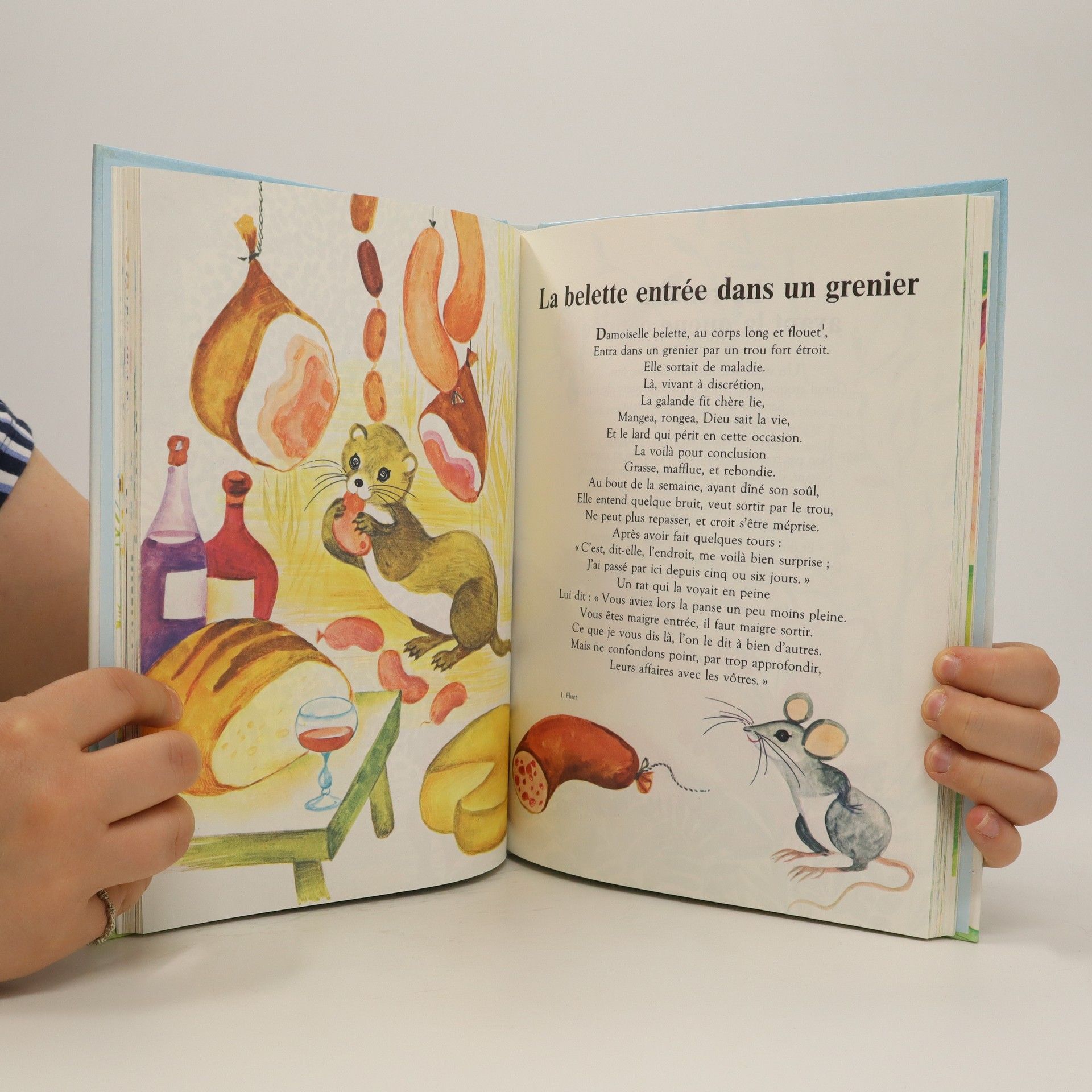 Collectif d'auteurs Les Fables de La Fontaine