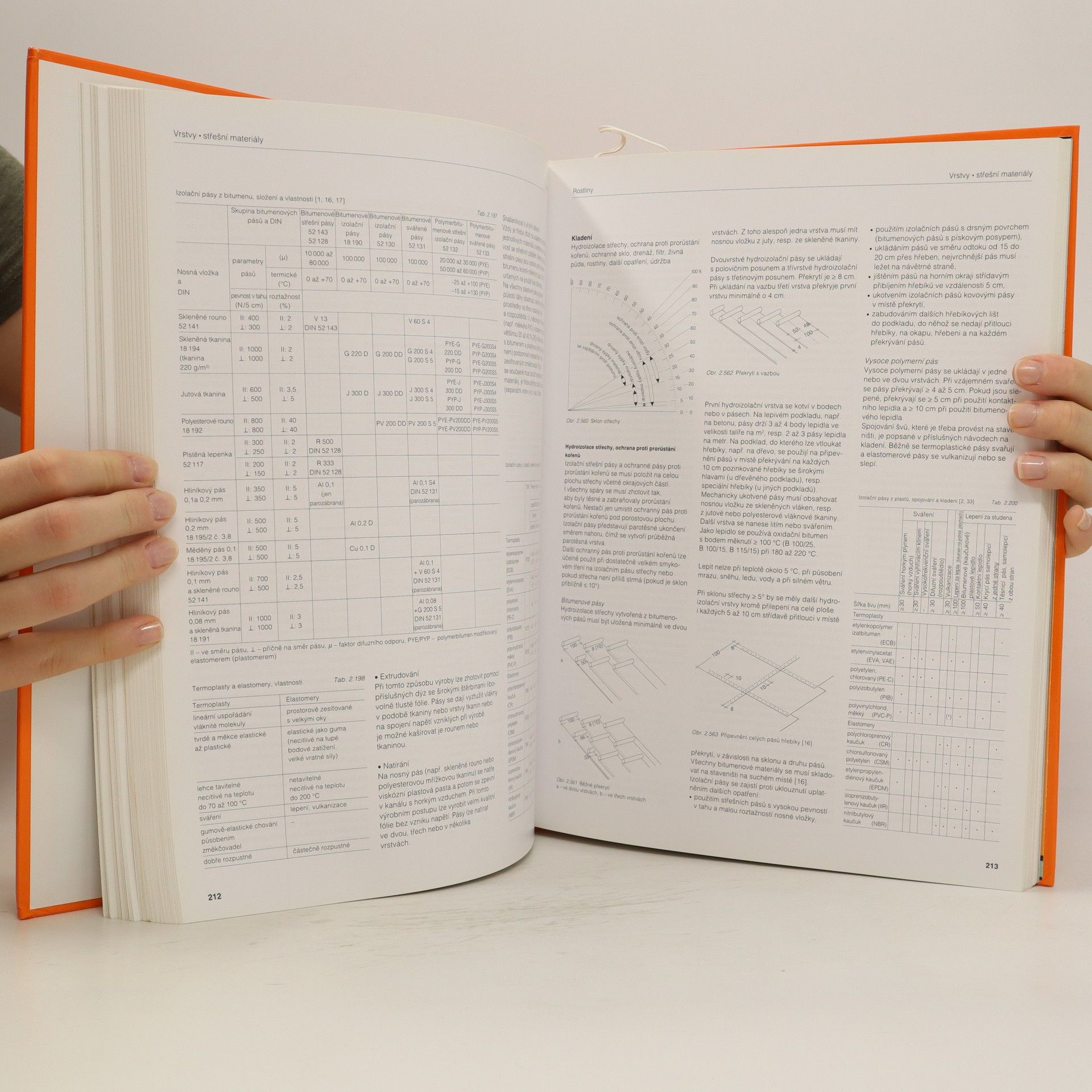 Eberhard Schunck Atlas střech : šikmé střechy
