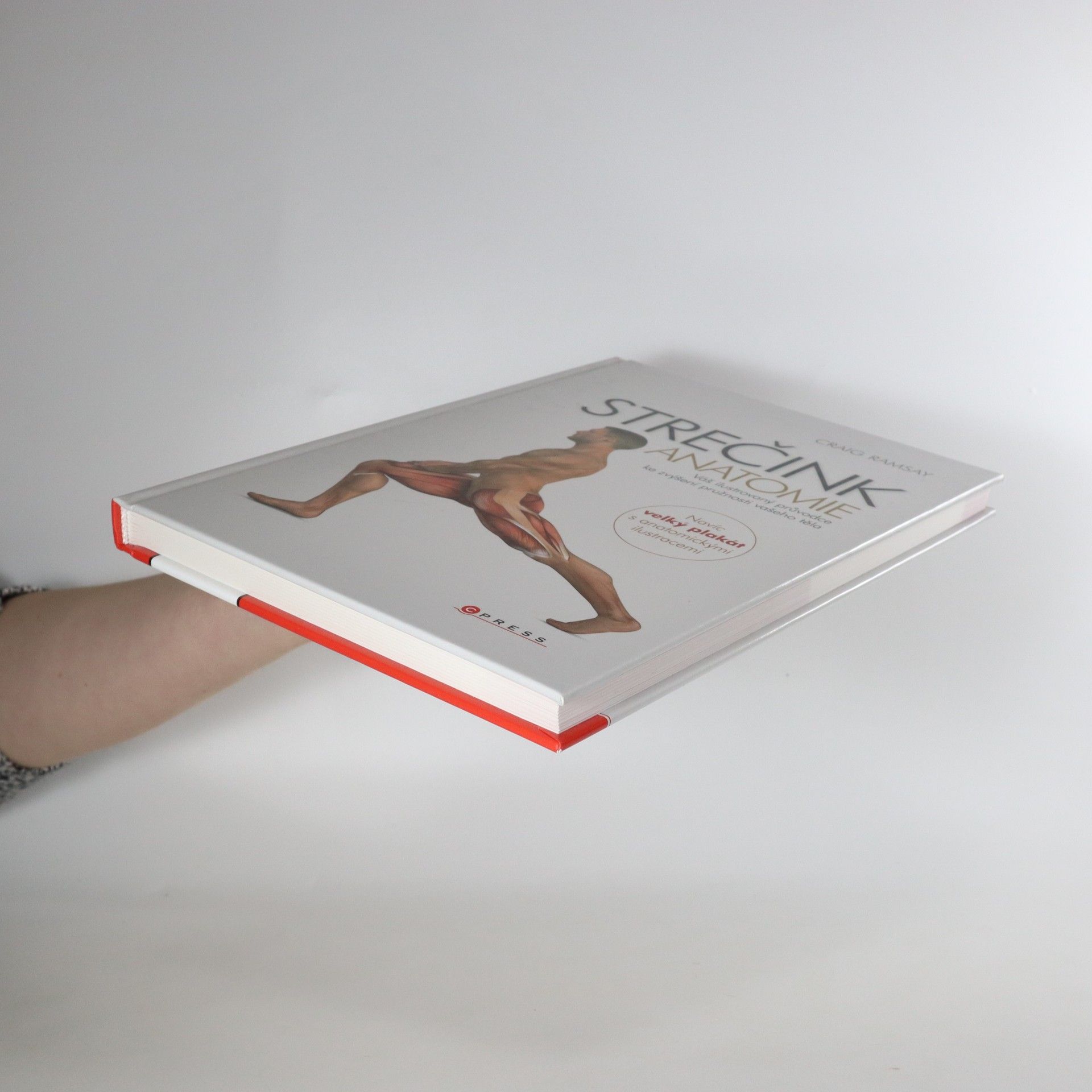 Craig Ramsay Strečink - anatomie