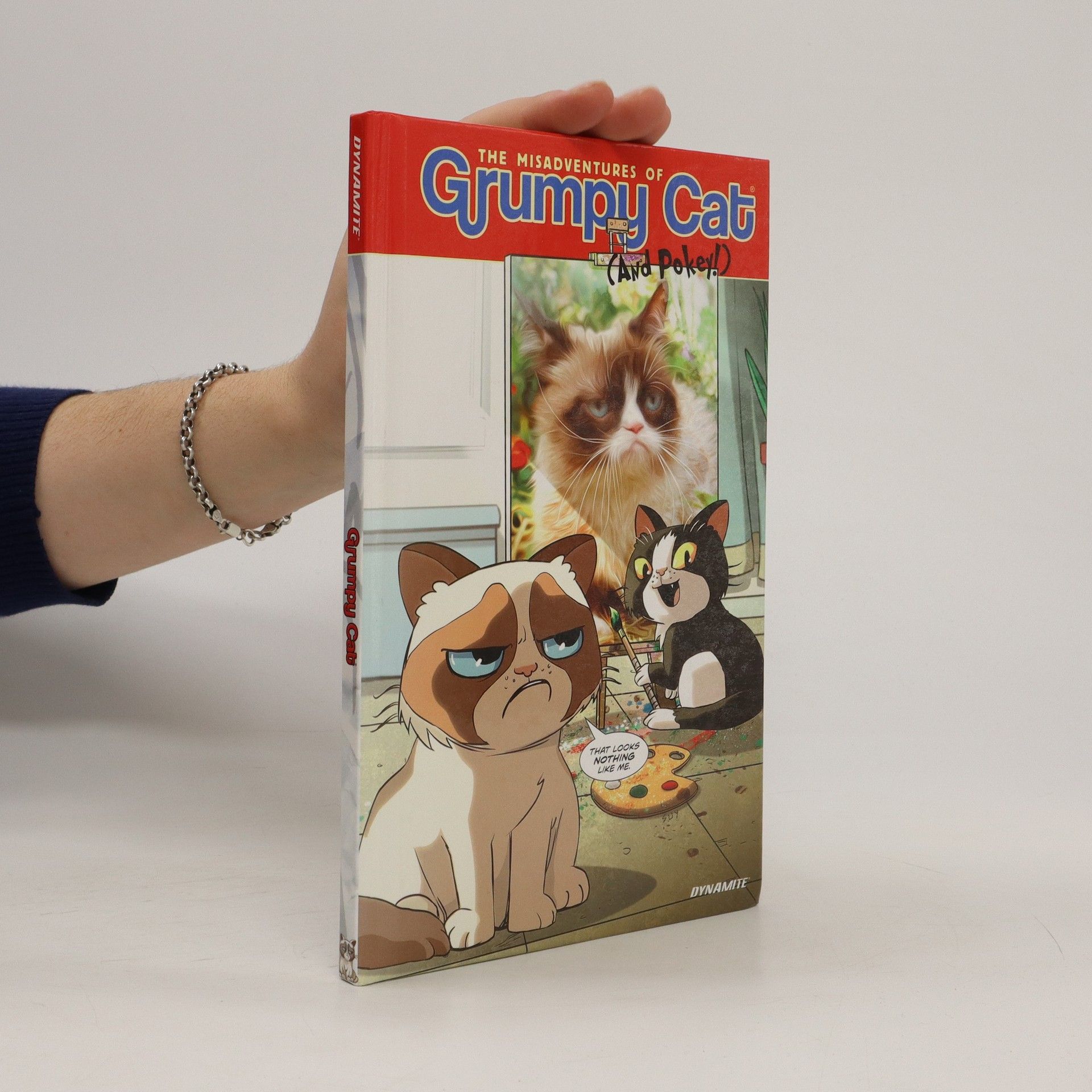 Ben McCool The Misadventures of Grumpy Cat (and Pokey!)