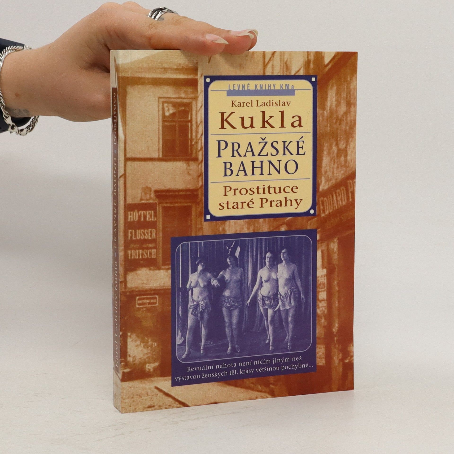 Karel Ladislav Kukla Pražské bahno. 1. díl, Pražská prostituce