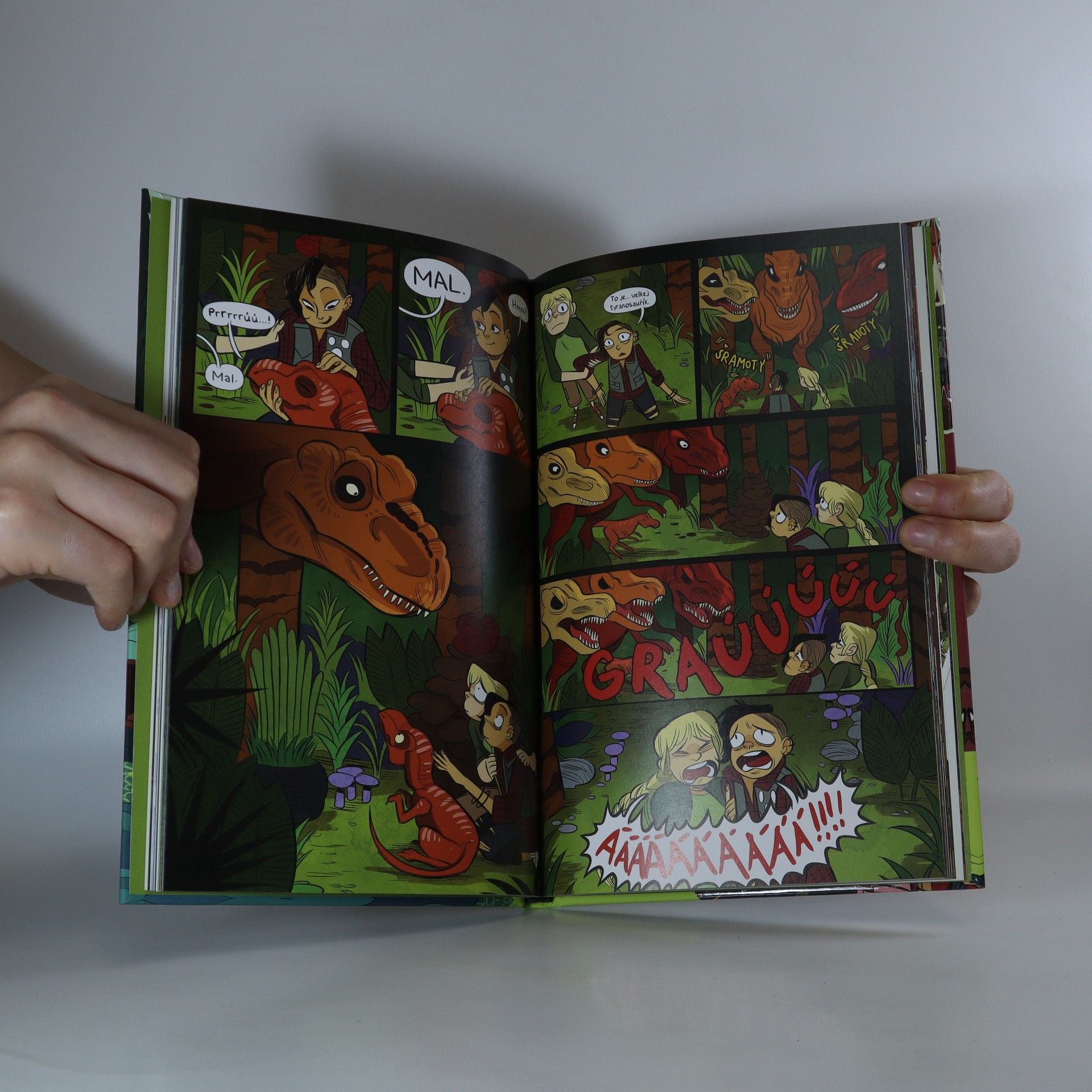 ND Stevenson Záleskautky. Lumberjanes. Plán za všechny prachy
