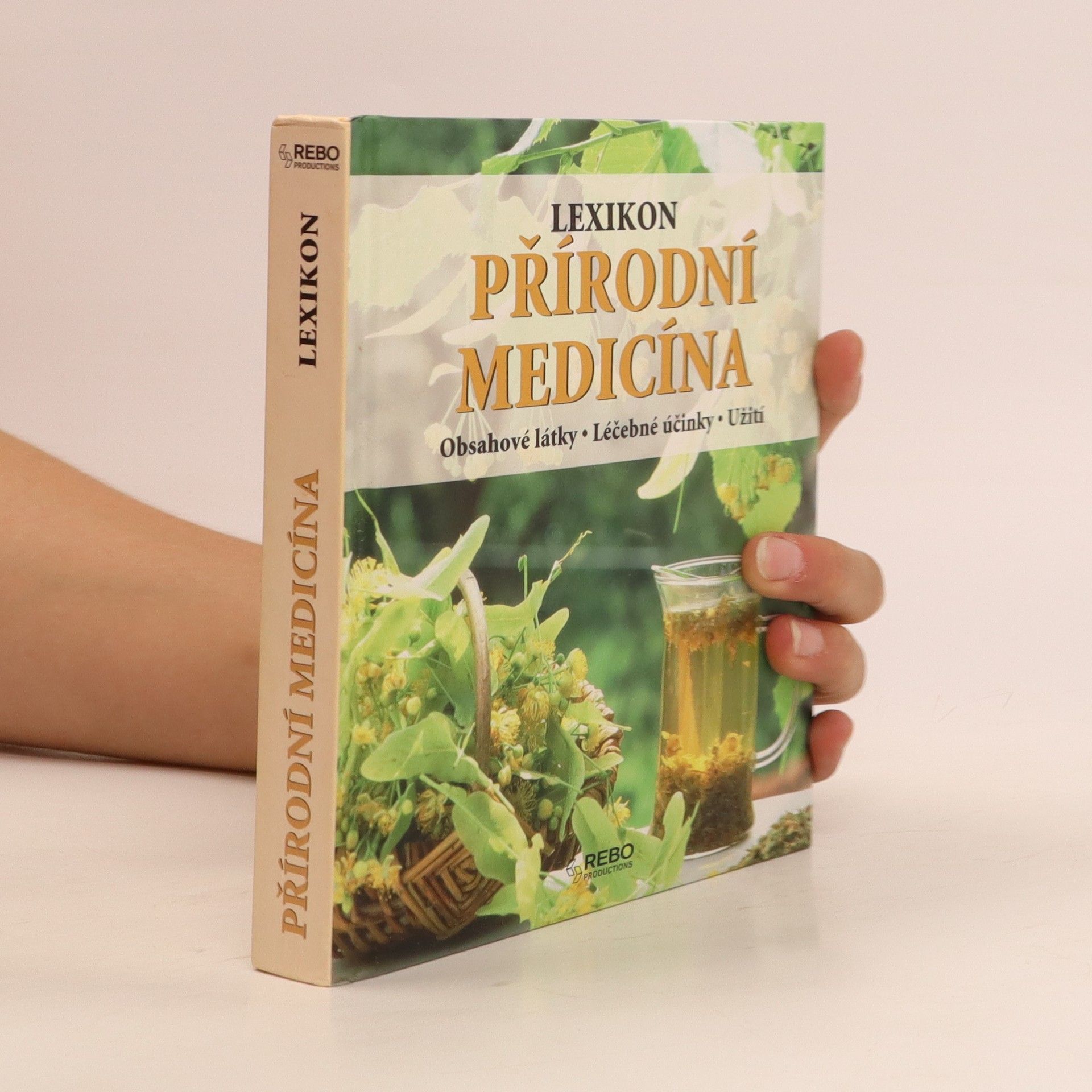 Anne Iburg Přírodní medicína: obsahové látky, léčebné účinky, užití