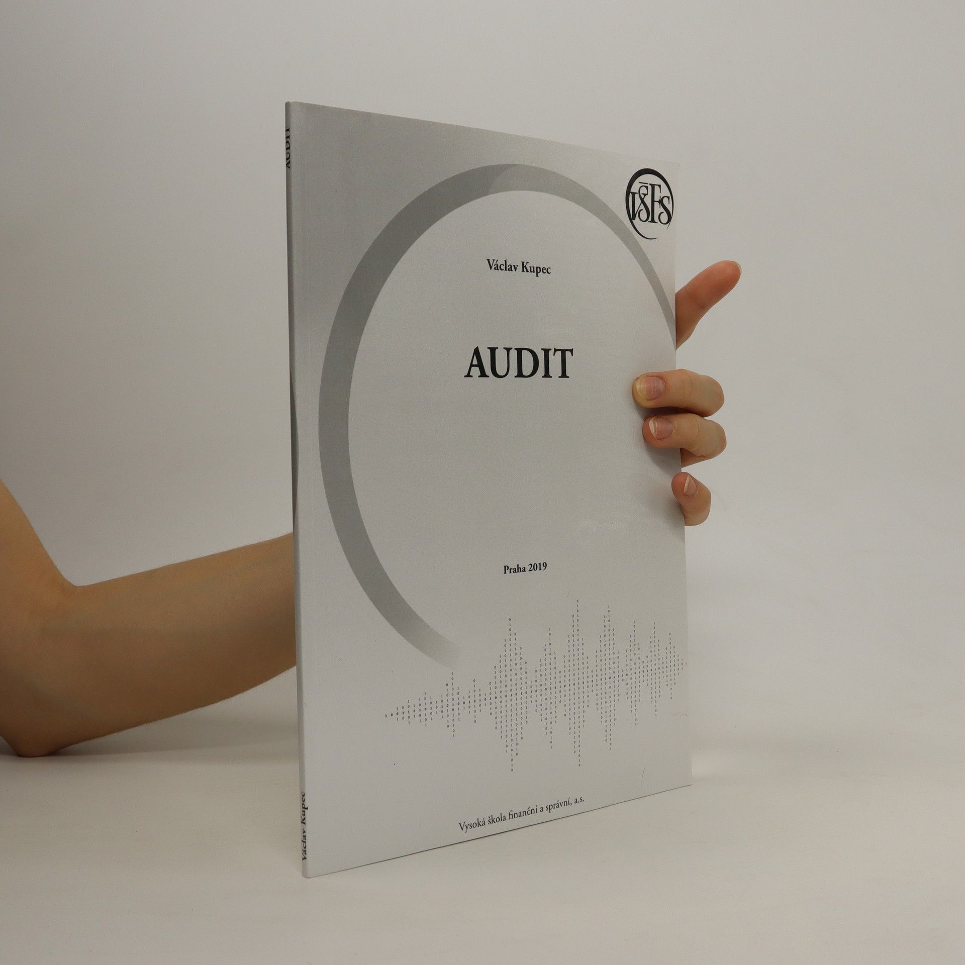 Václav Kupec Audit
