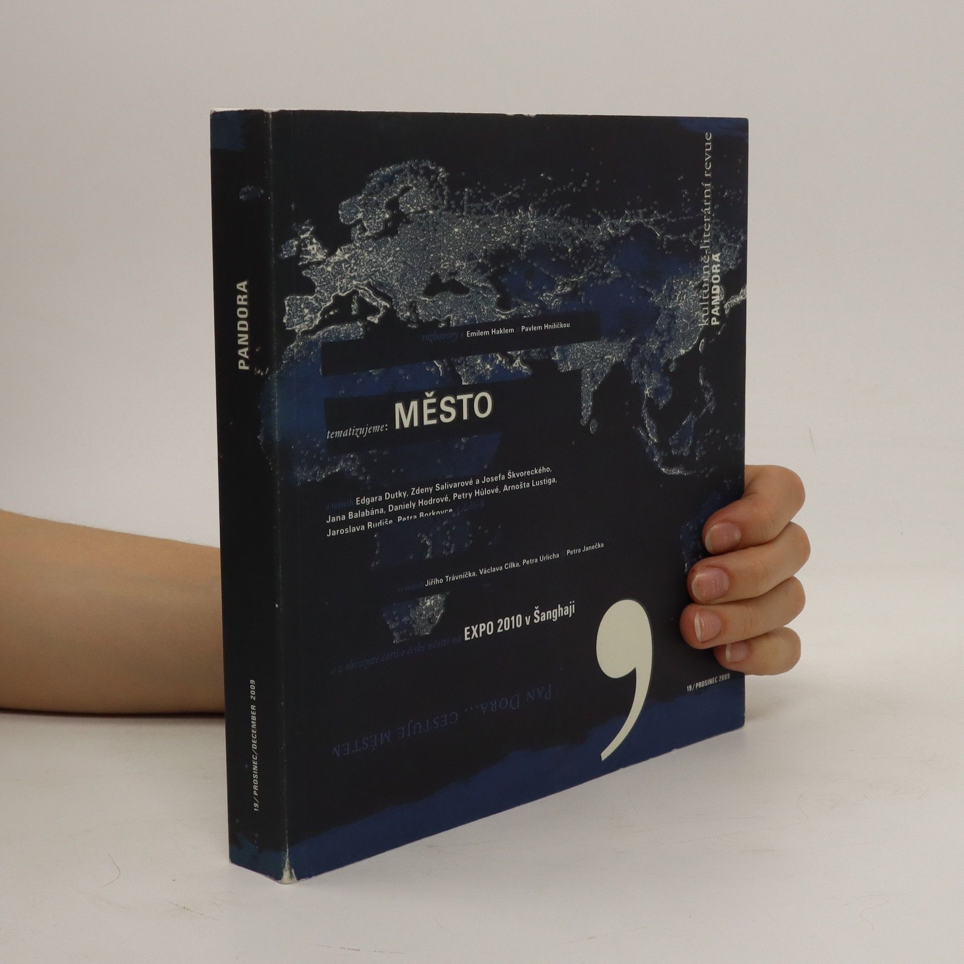 Various authors Tematizujeme: Město (Reflections on: The City)