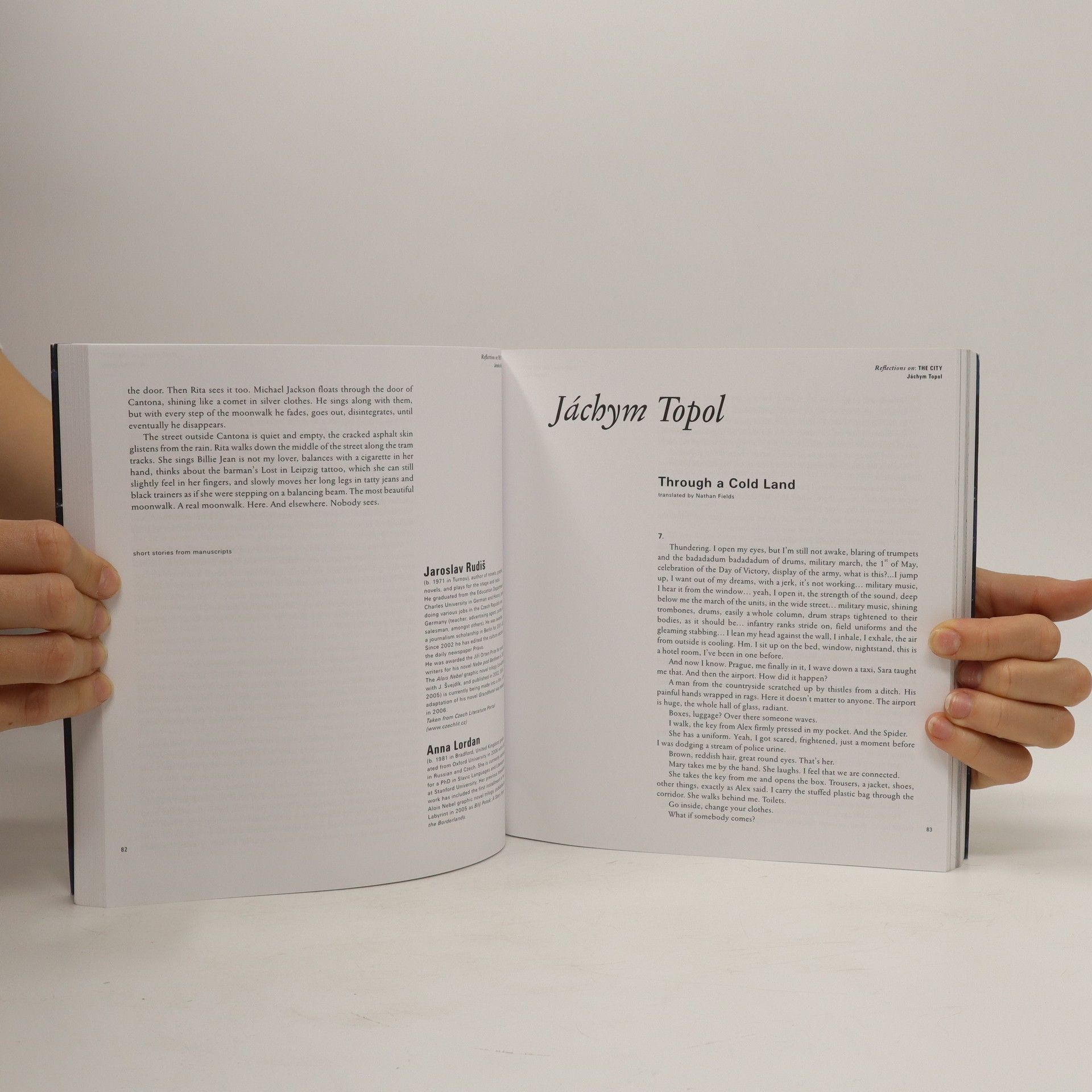 Various authors Tematizujeme: Město (Reflections on: The City)