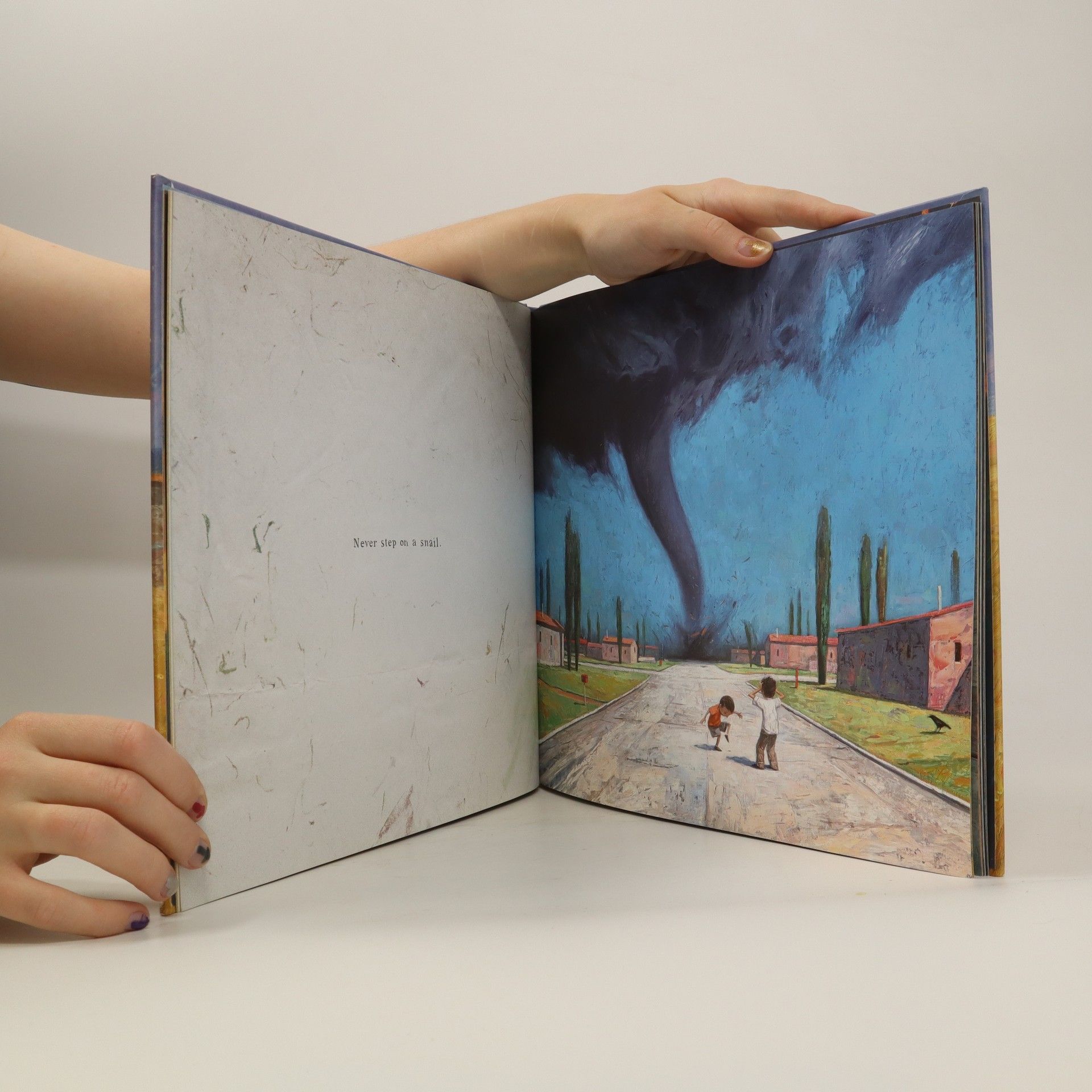 Shaun Tan Rules of Summer