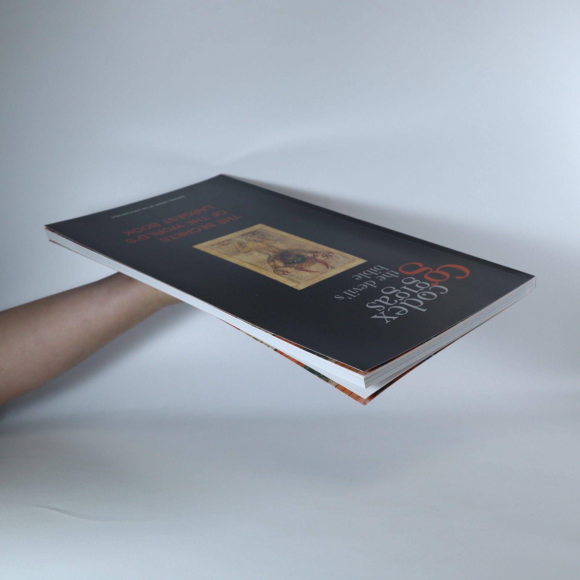 Kamil Boldan Codex Gigas. Ďáblova bible.
