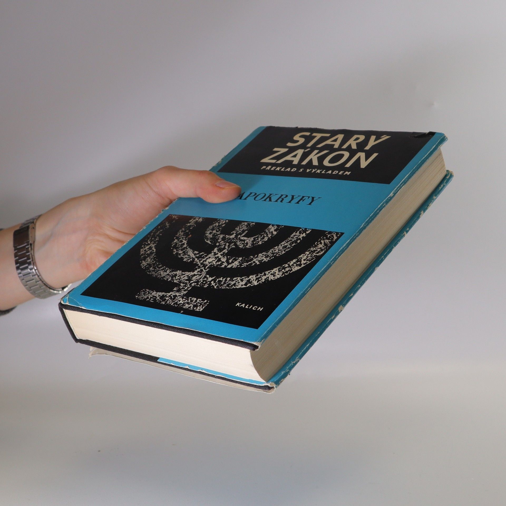 Autores varios Starý zákon. Apokryfy