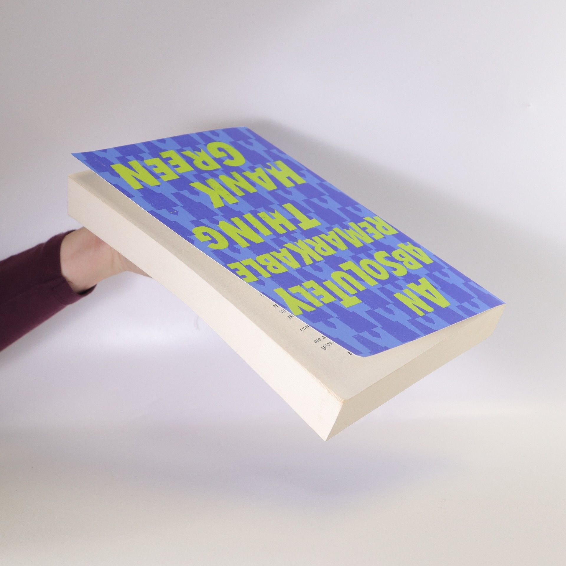 Hank Green An absolutely remarkable thing
