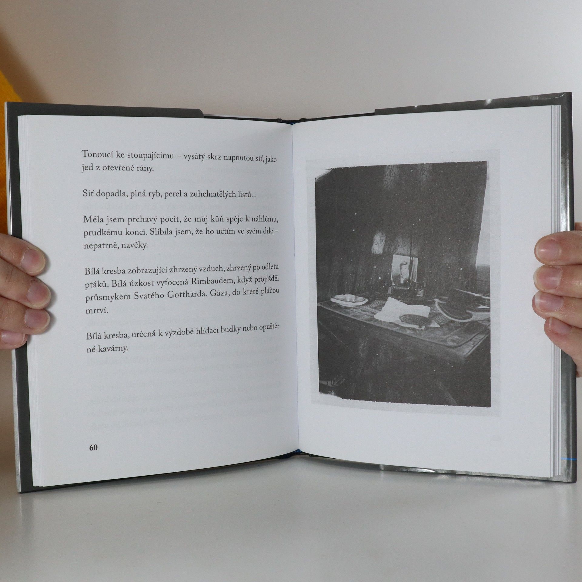 Patti Smith Sbírání vlny