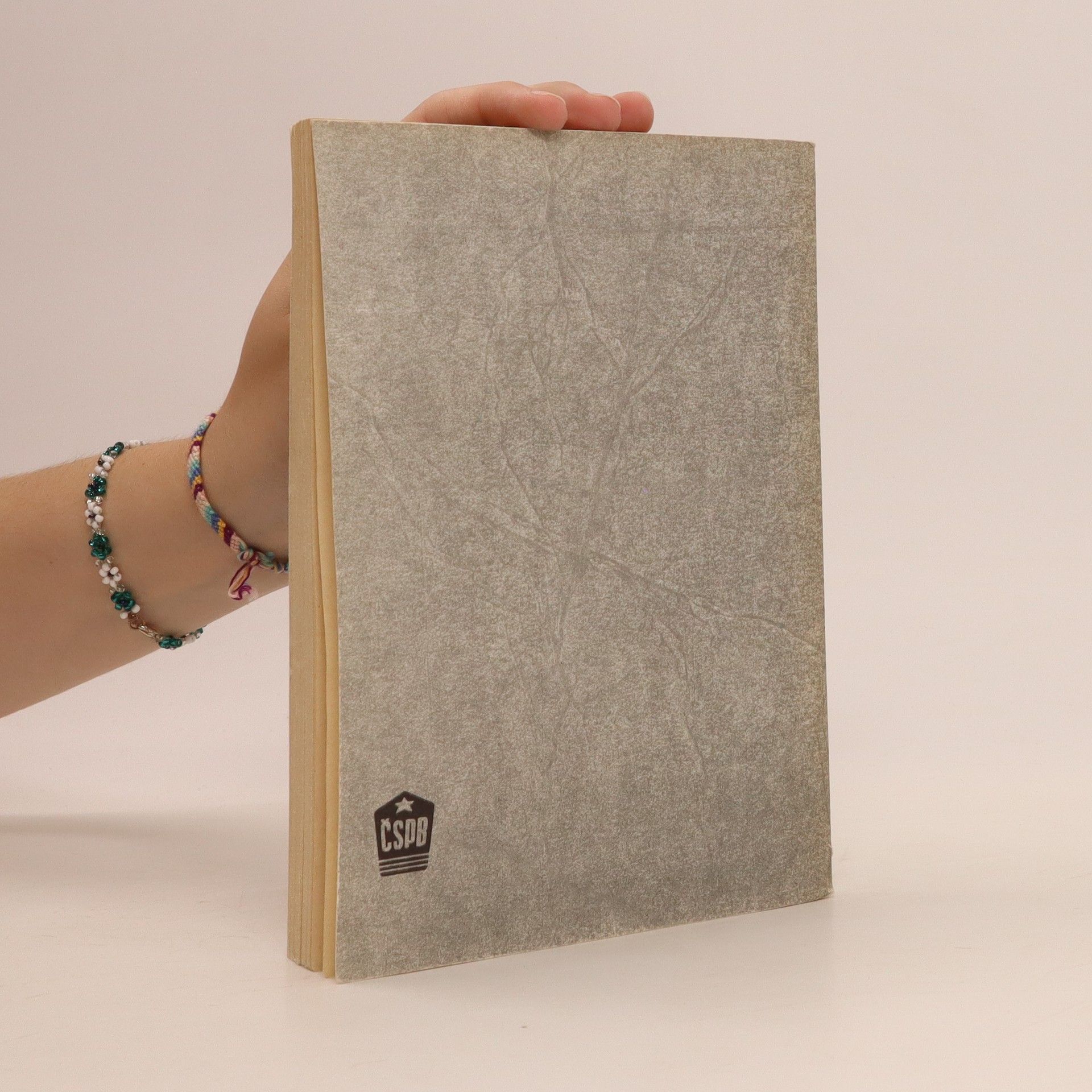Collectif d'auteurs Mnichov 1938 (1)