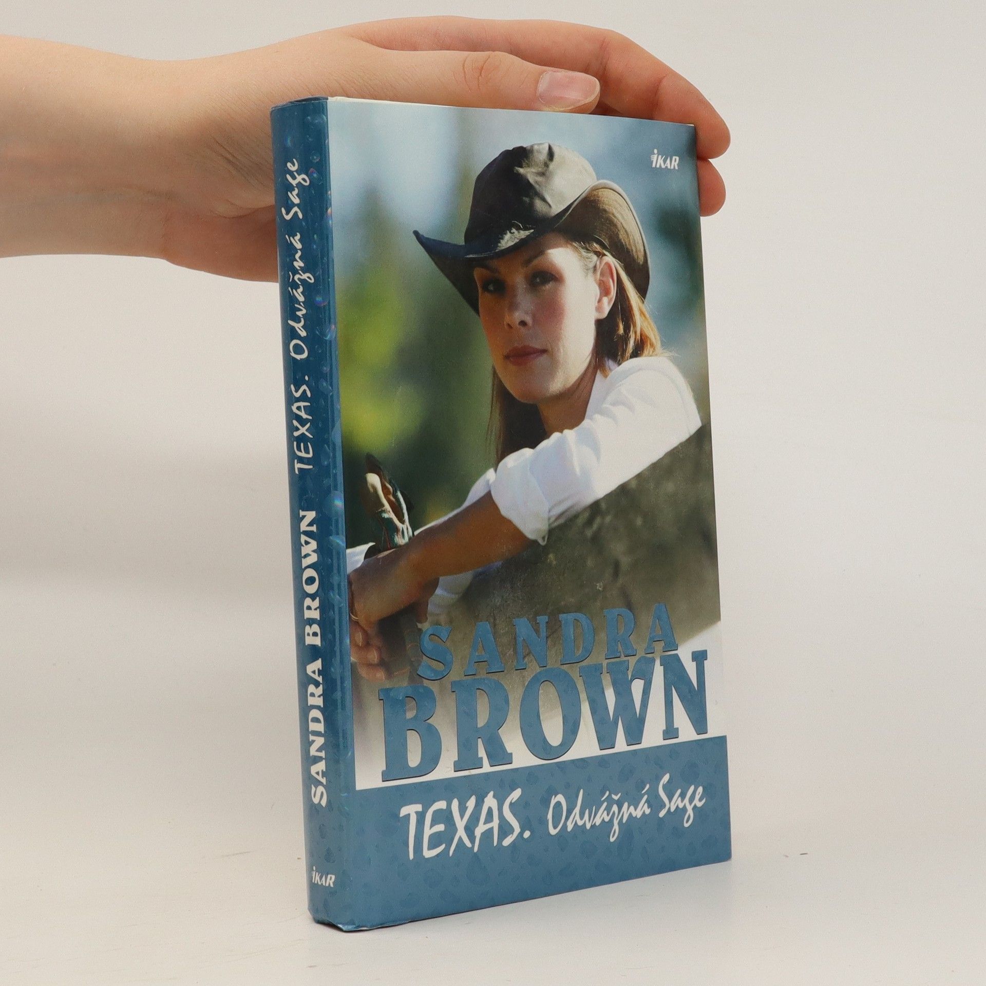Sandra Brown Texas. Odvážná Sage