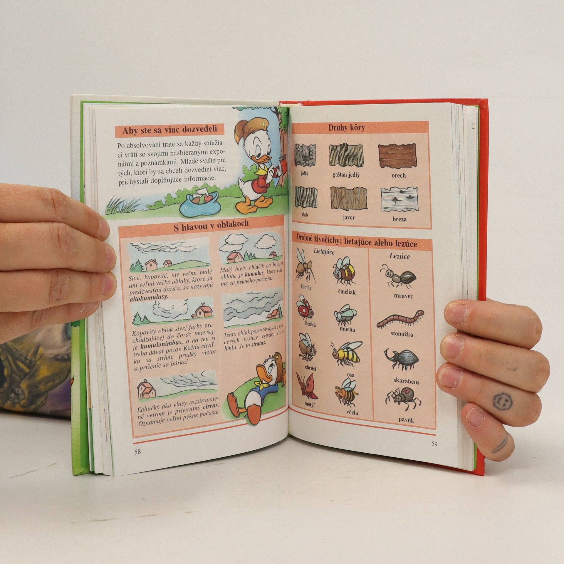 Collectif d'auteurs Devátá príručka mladých svišťov