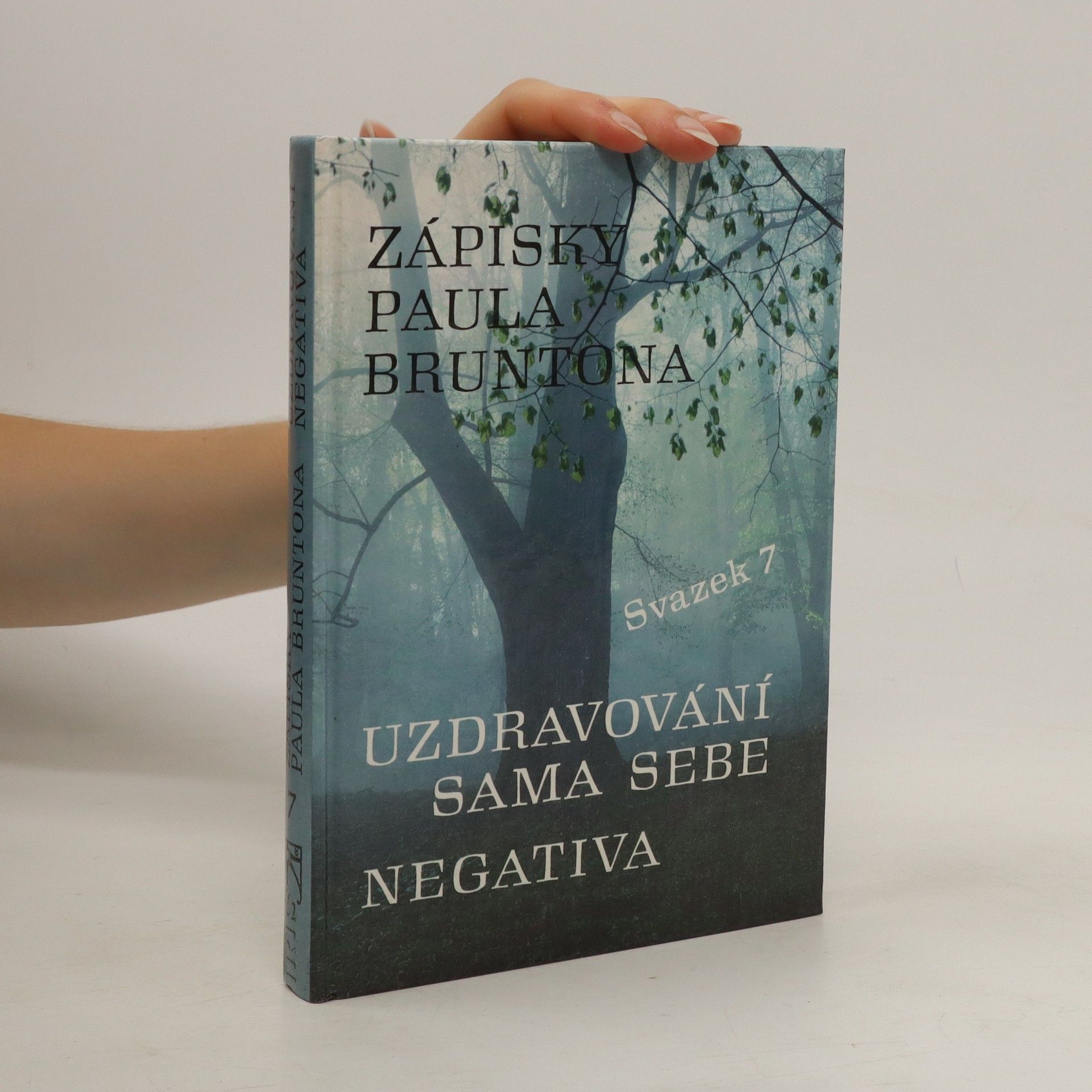 Paul Brunton Zápisky Paula Bruntona : do hloubky rozpracovaná desátá a jedenáctá kategorie ze Zápisků. Svazek 7