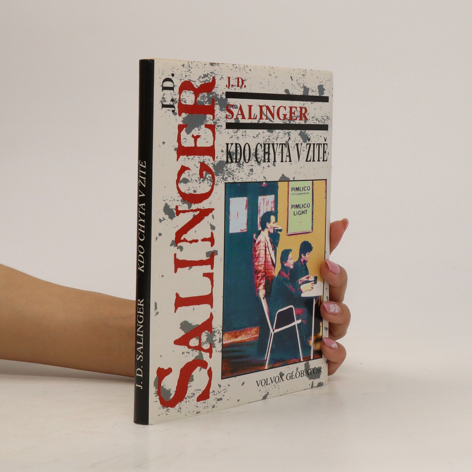 J. D. Salinger Kdo chytá v žitě
