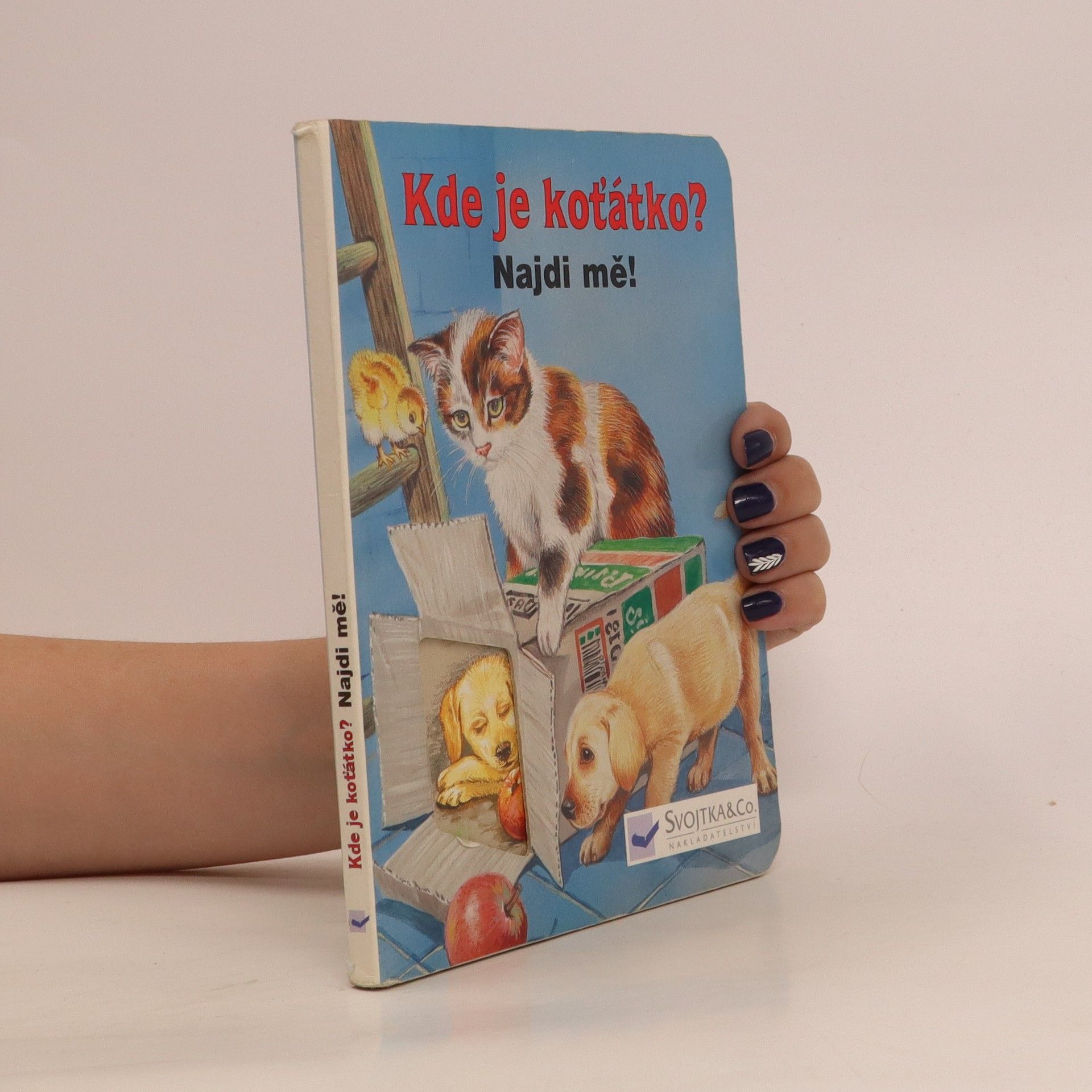 Kolektiv autorů Kde je koťátko?