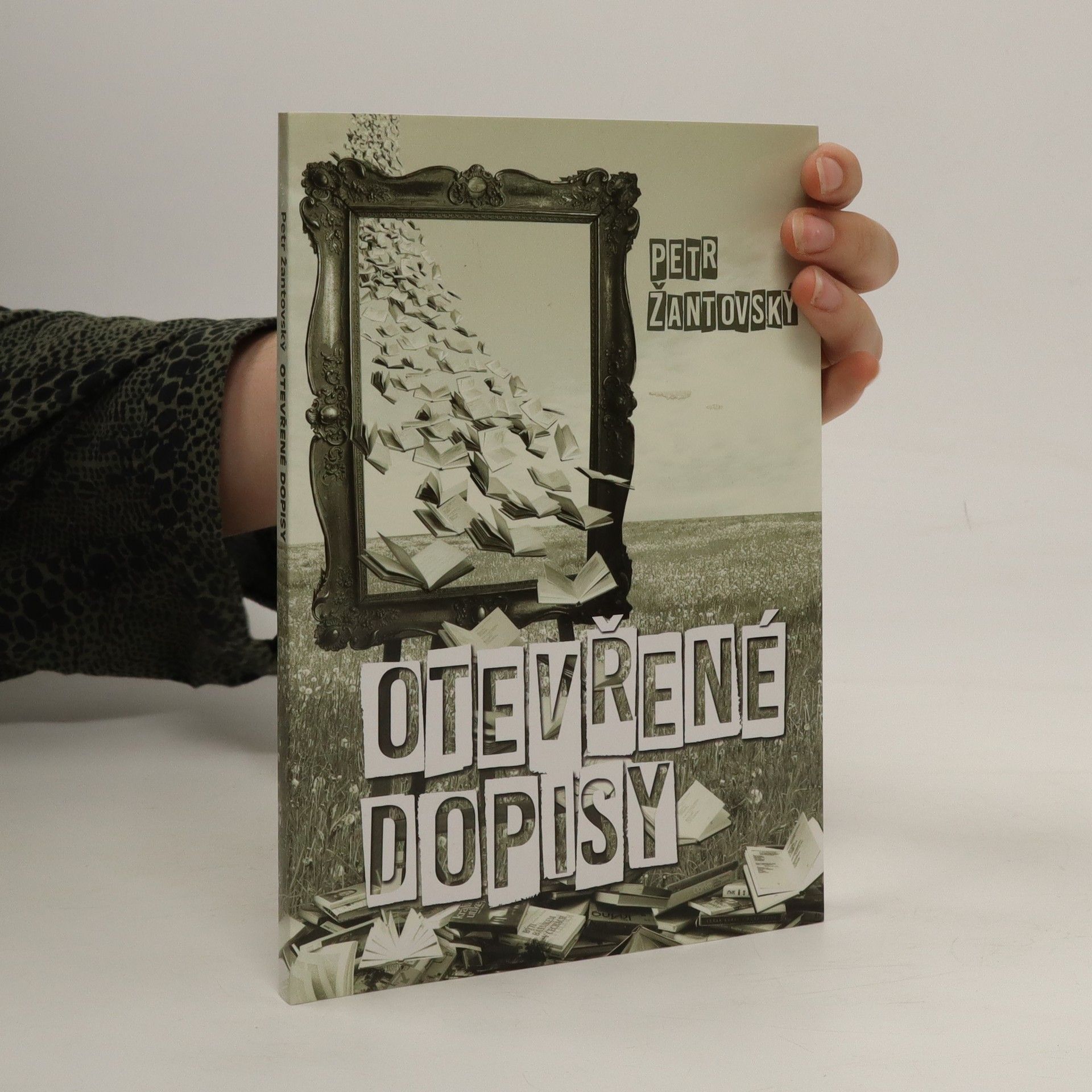 Petr Žantovský Otevřené dopisy